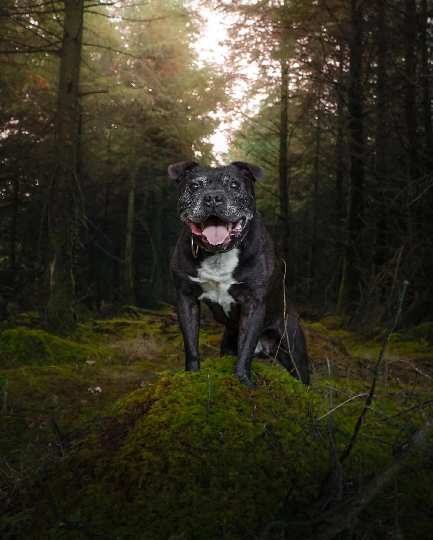 Stick season 🍂🪾