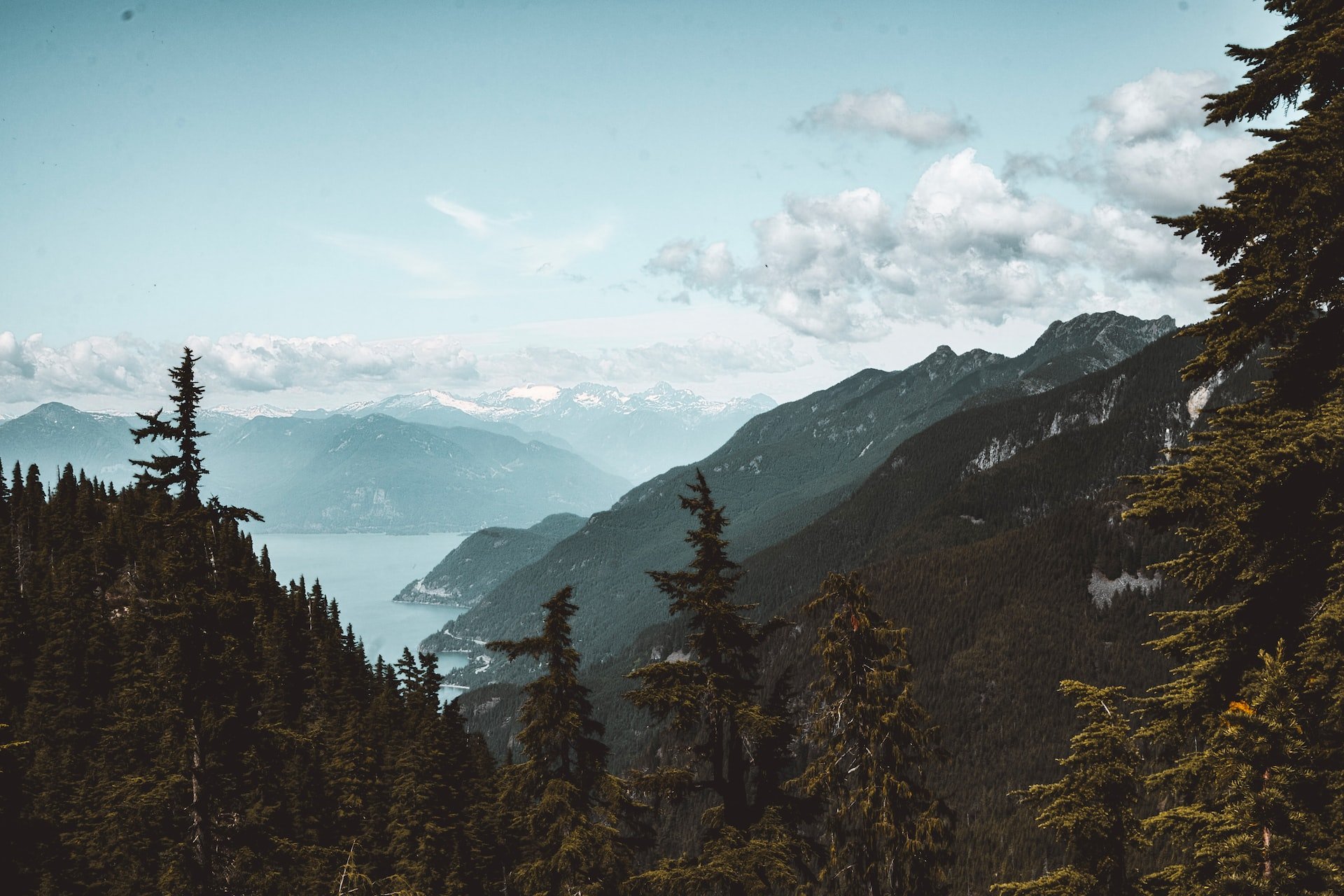 Scenic view of a mountain range with dense pine trees in the foreground, a river running through the valley, and snow-capped peaks in the distance under a partly cloudy sky.