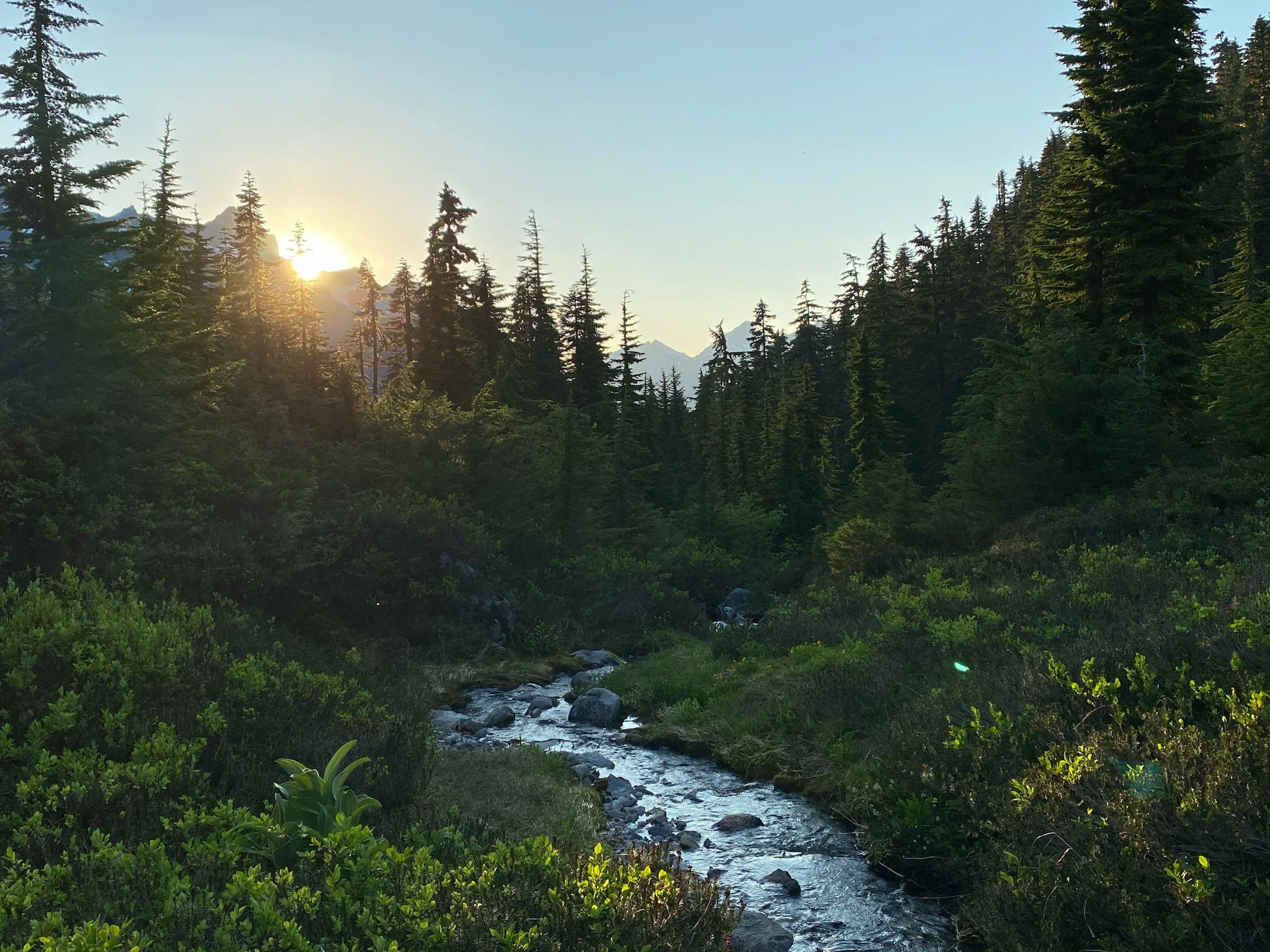 Sunrise over a forested mountain landscape with a small stream in the foreground.