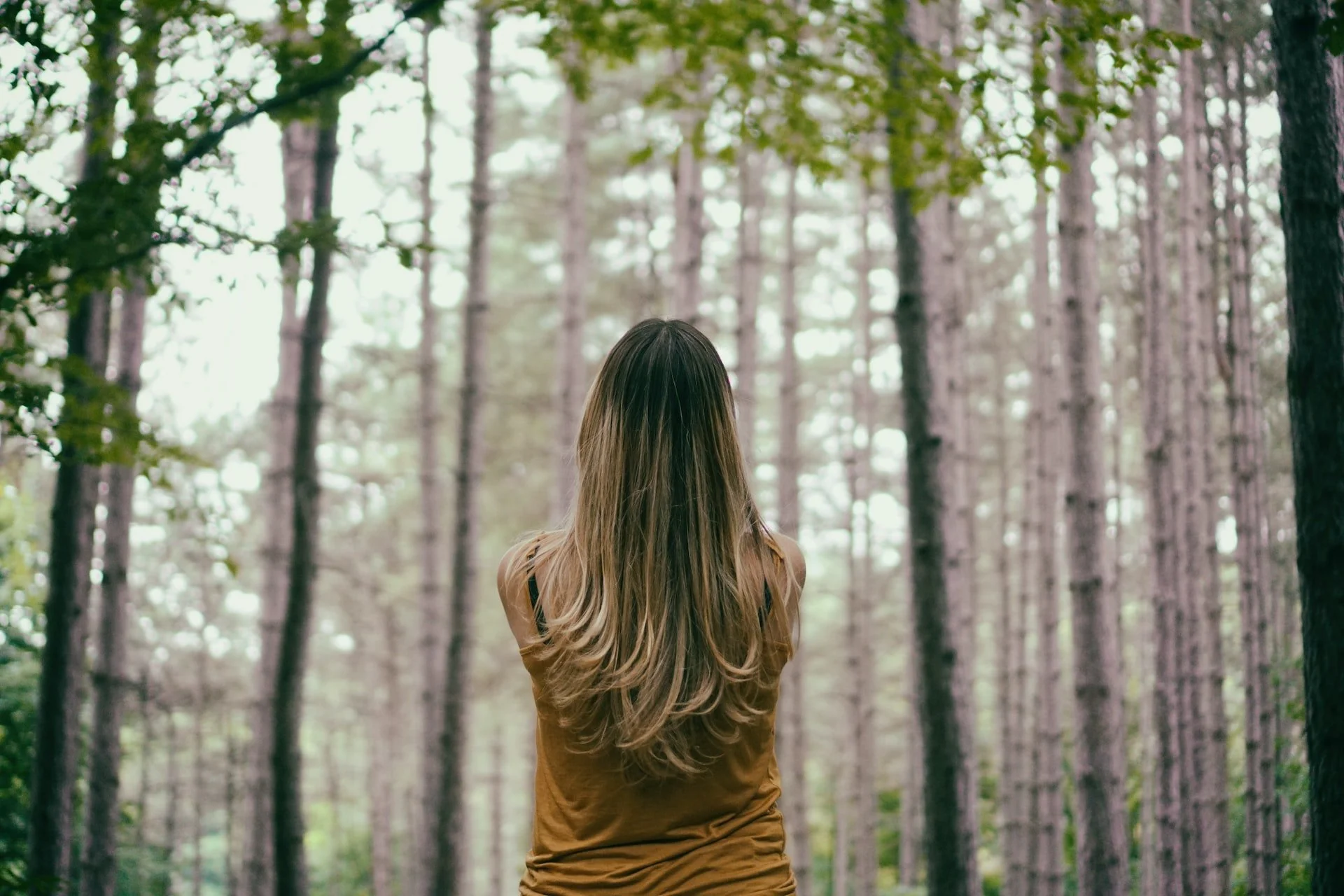 A woman with long, wavy hair viewed from the back, standing in a dense forest of tall trees and green foliage.