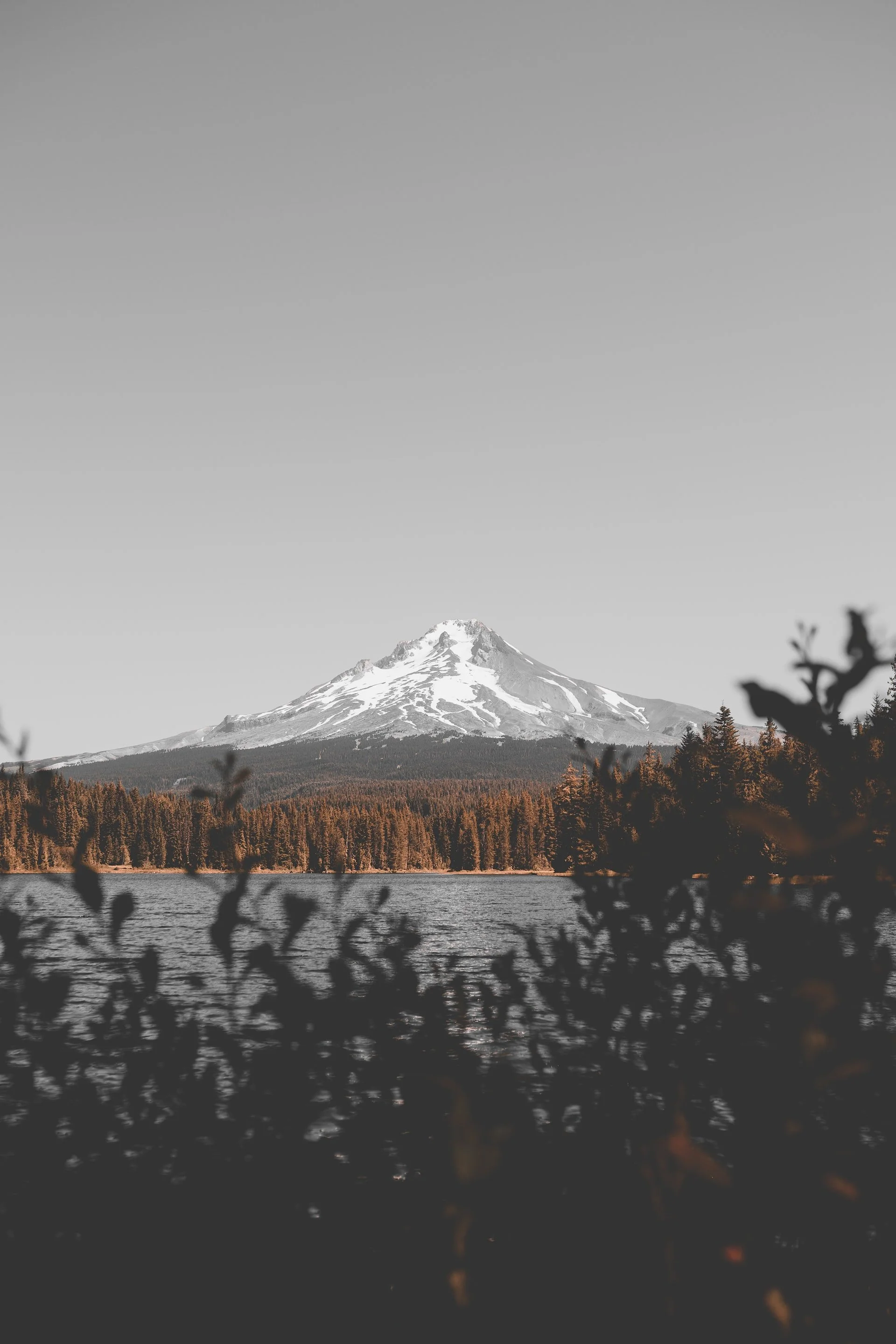 A snow-capped mountain in the distance across a lake, with trees along the shoreline in the foreground.