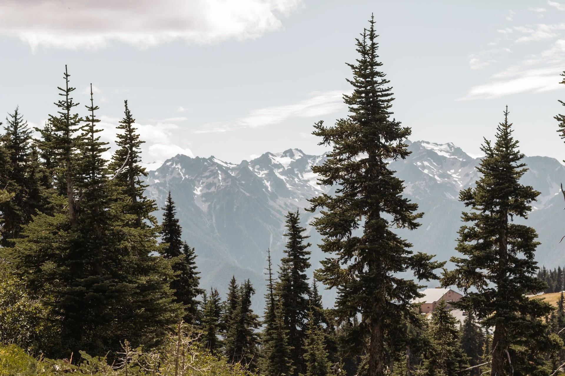 A view of a mountain range with snow-capped peaks, surrounded by tall pine trees, under a partly cloudy sky.