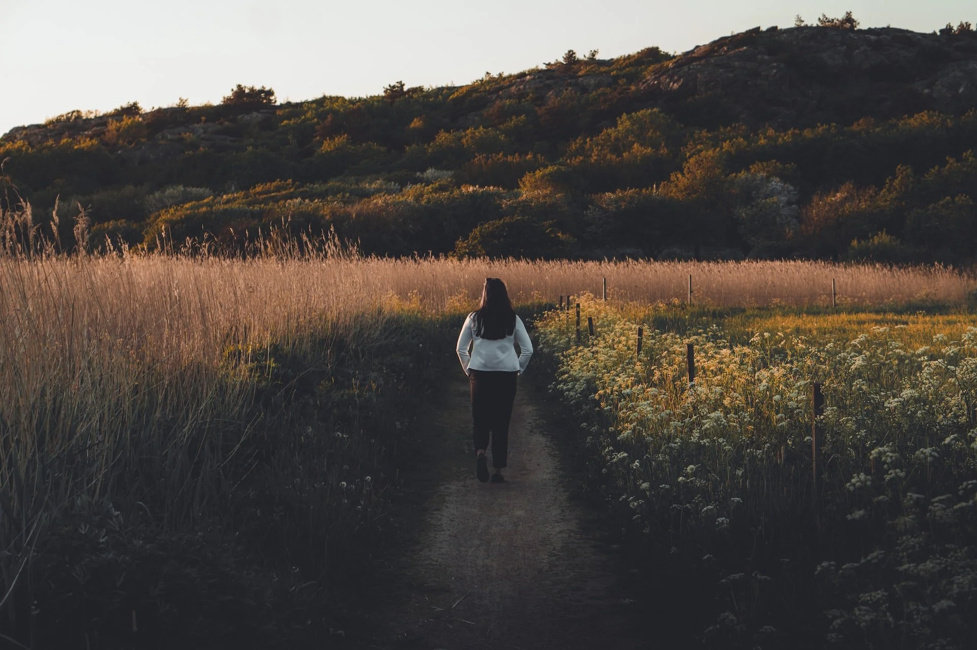 A person walking on a dirt trail through a field with tall grasses and wildflowers, with hills and trees in the background during sunset.