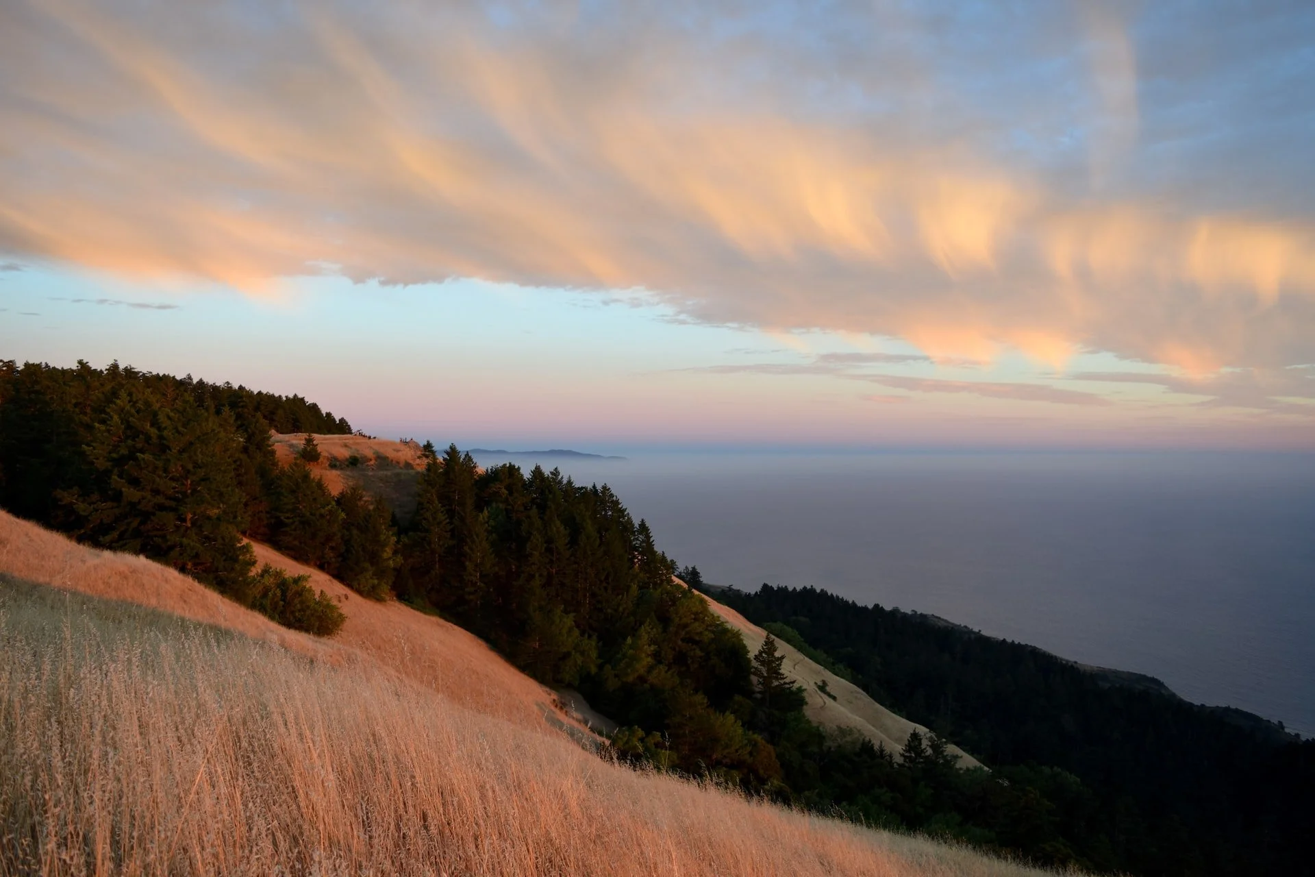 A scenic view of rolling hills covered in grass and trees with a cloudy sky during sunset and the ocean in the distance.