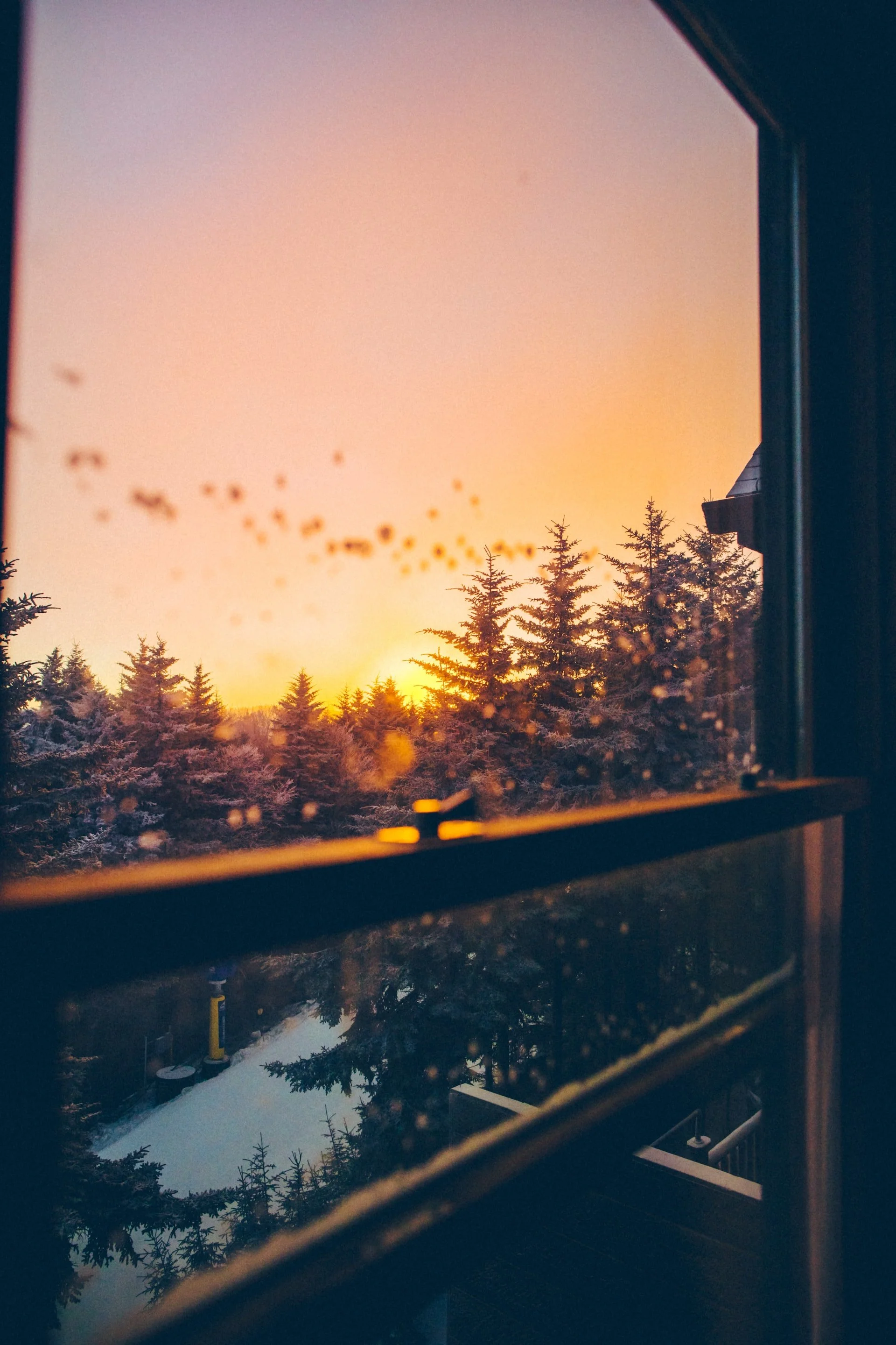 Sunset view through a window with raindrops, overlooking snowy trees.