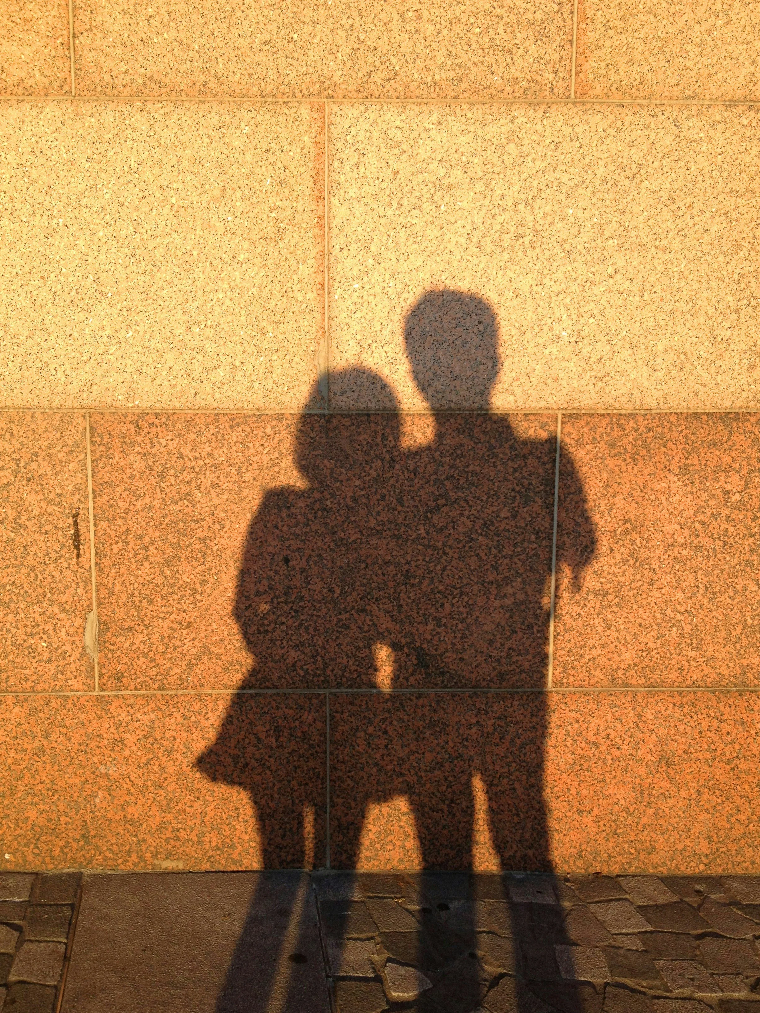 Silhouettes of a person and a dog cast on a brick wall during sunset or sunrise.