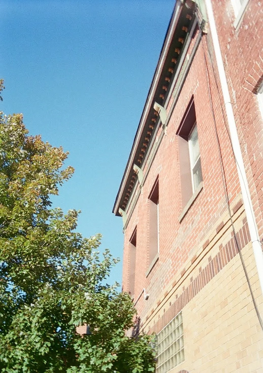 A red brick building with windows, partially obscured by green leafy trees, under a clear blue sky.