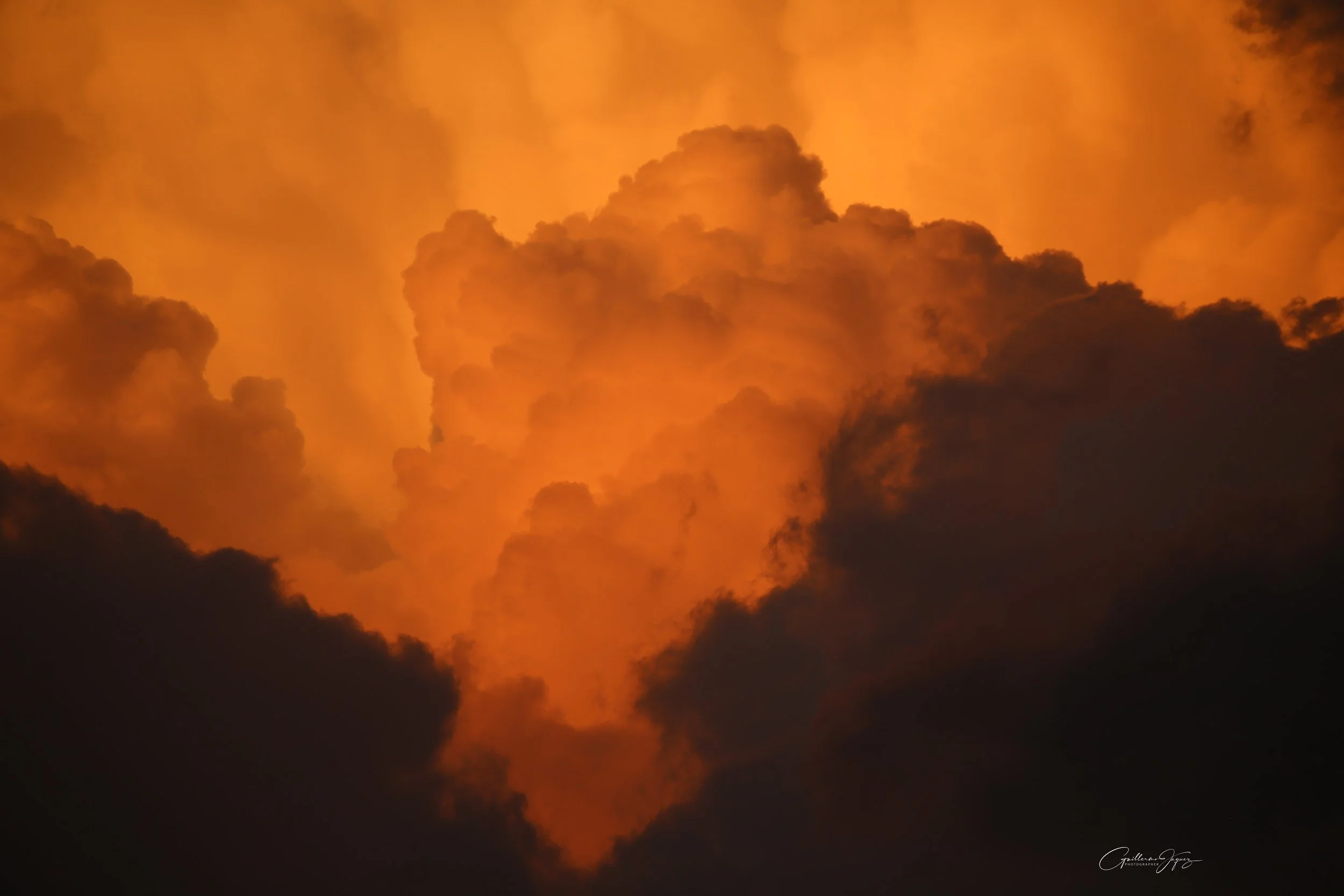 7BA91E7B-20B8-4F04-96F5-72235B3C987A.jpeg