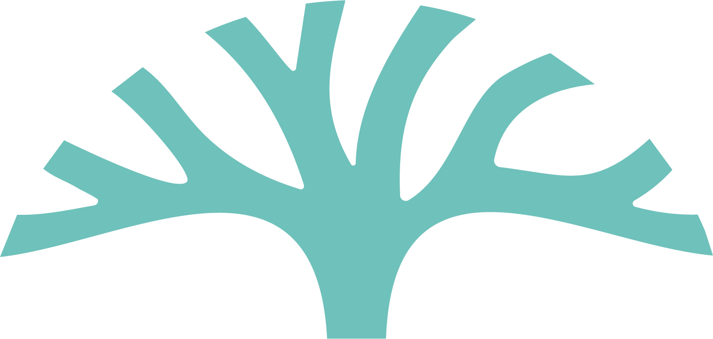 A stylized simplified light blue tree with many branches on a white background.