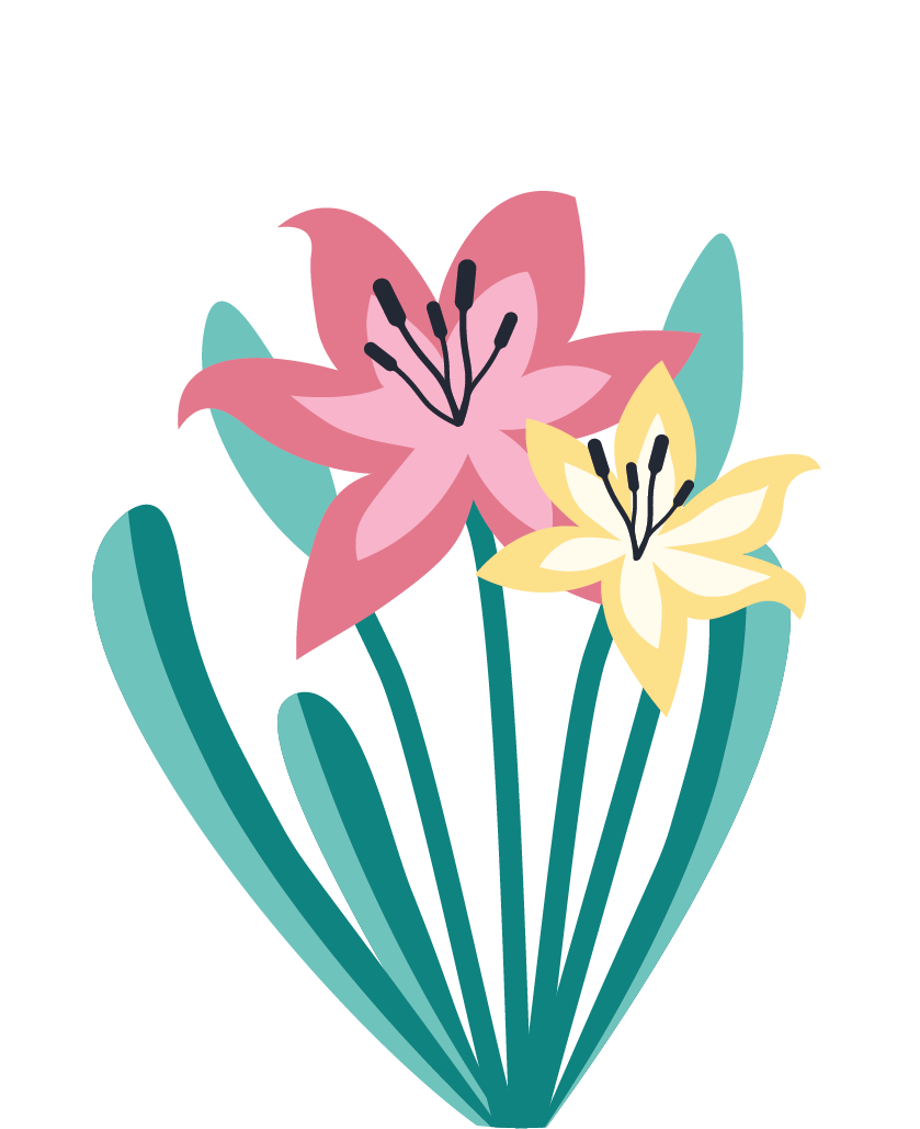 Illustration of a pink and yellow lily flower with green leaves
