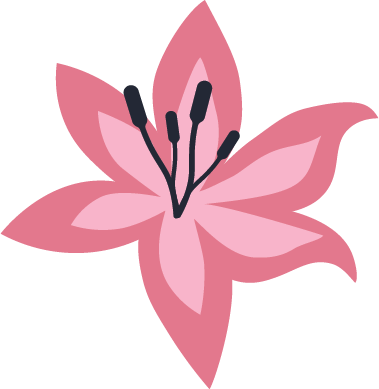 A pink lily flower with dark stamens.