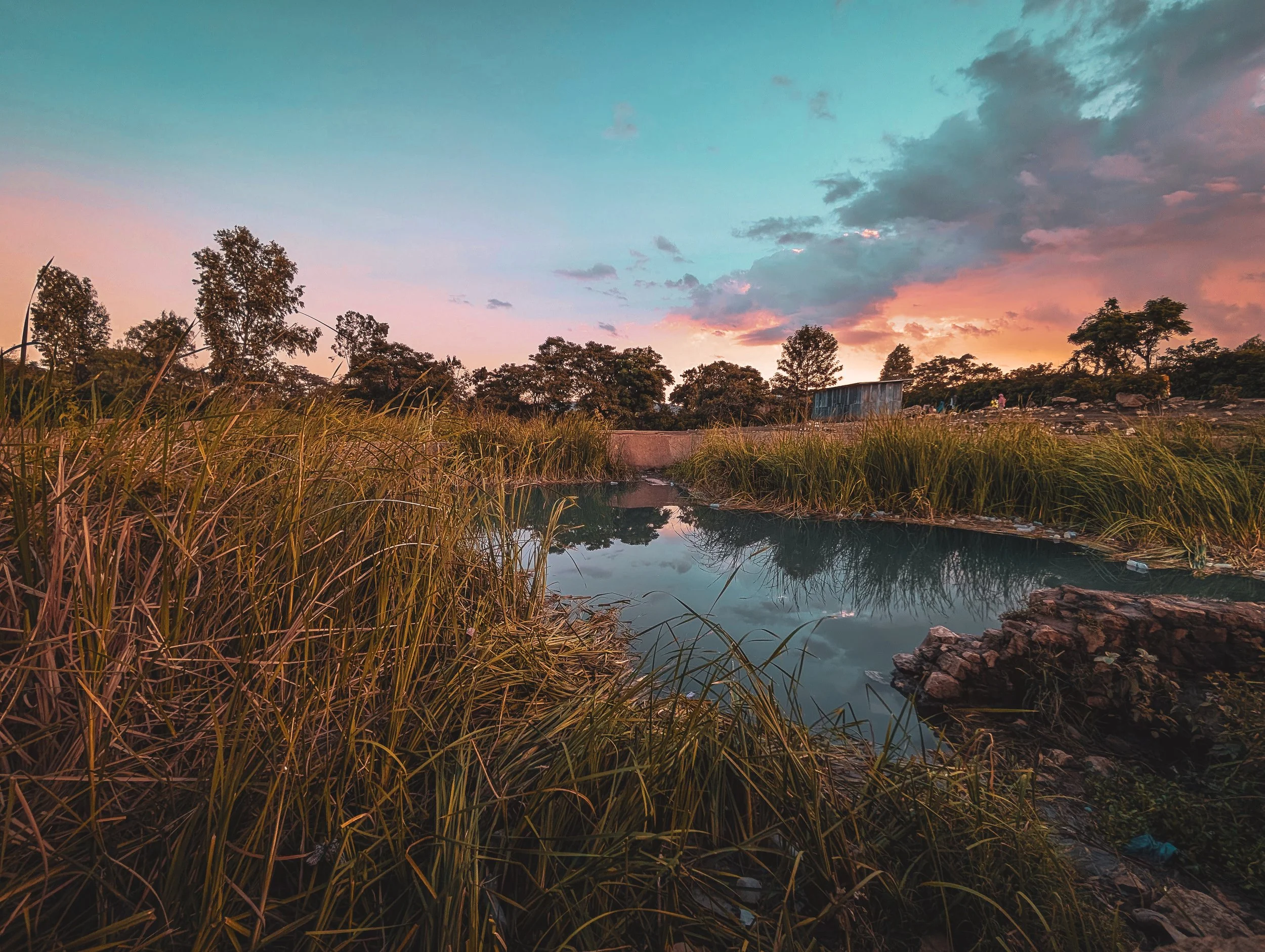 A sunset over a small pond surrounded by tall grasses and trees with a partly cloudy sky in the background.