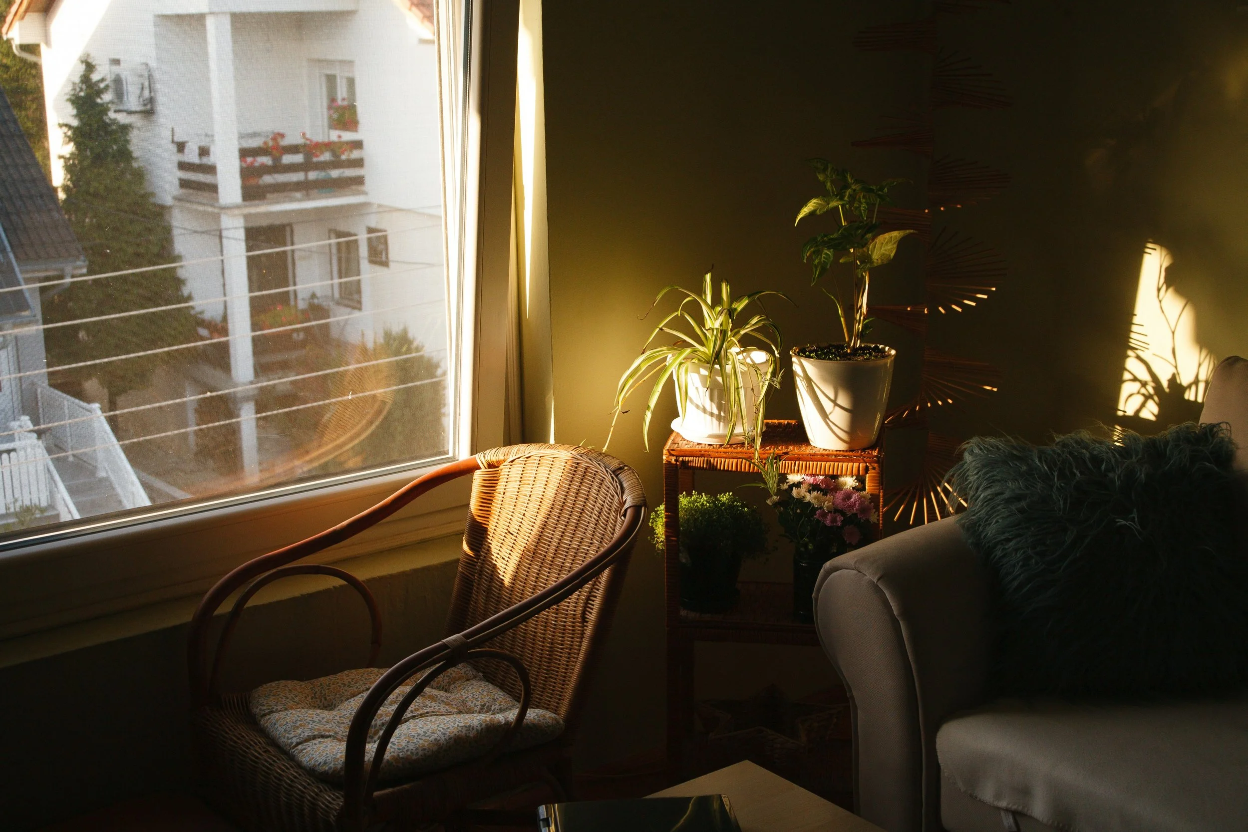 Sunlight casts shadows of plants on a dark wall in a cozy living room corner with a beige sofa, a fluffy black cushion, potted plants on a wicker table, a rattan chair with a cushion, and a large window showing neighboring apartment buildings.