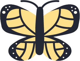 Close-up of a butterfly with yellow and black wings.