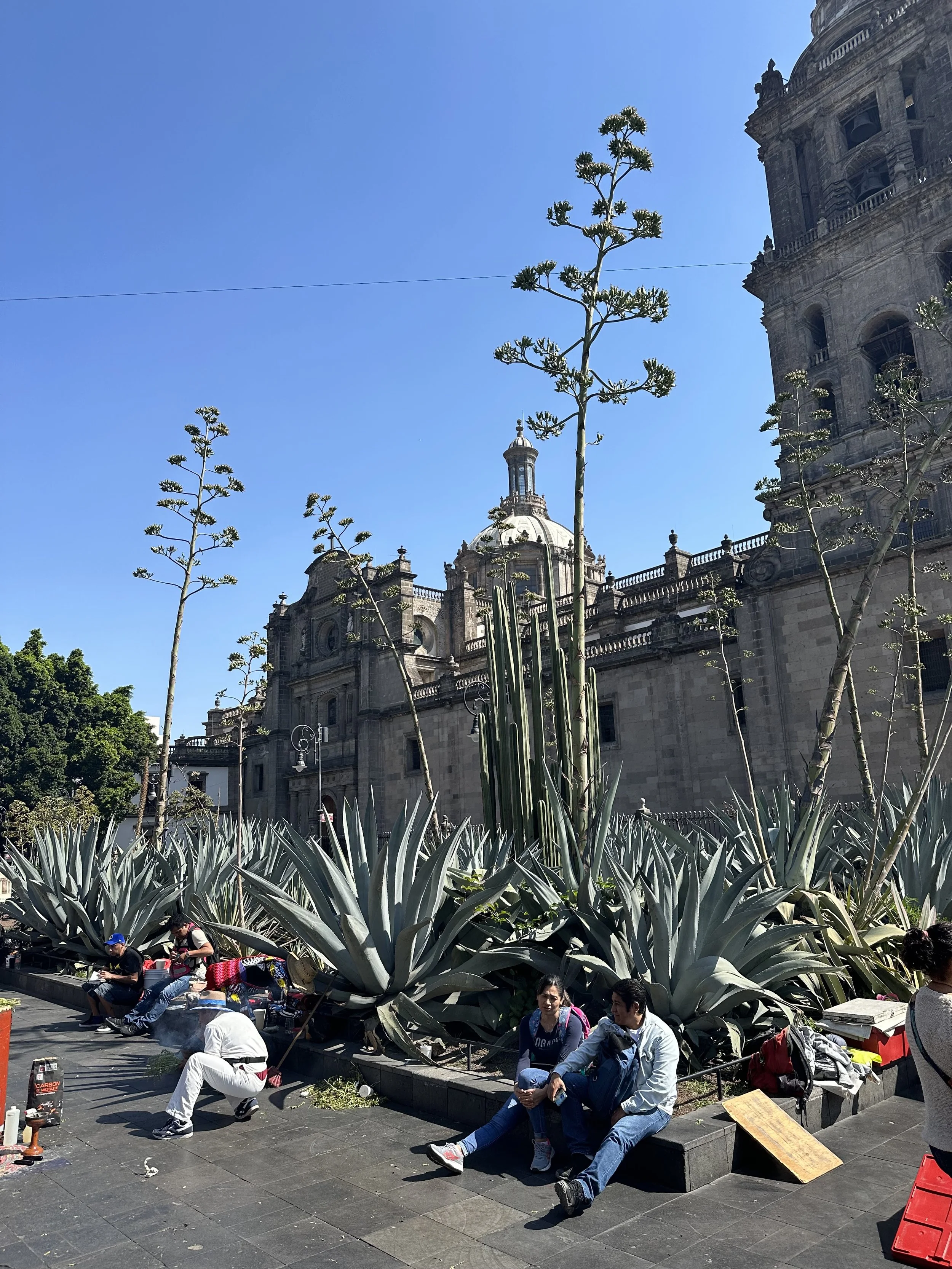 IMG_0633.jpeg