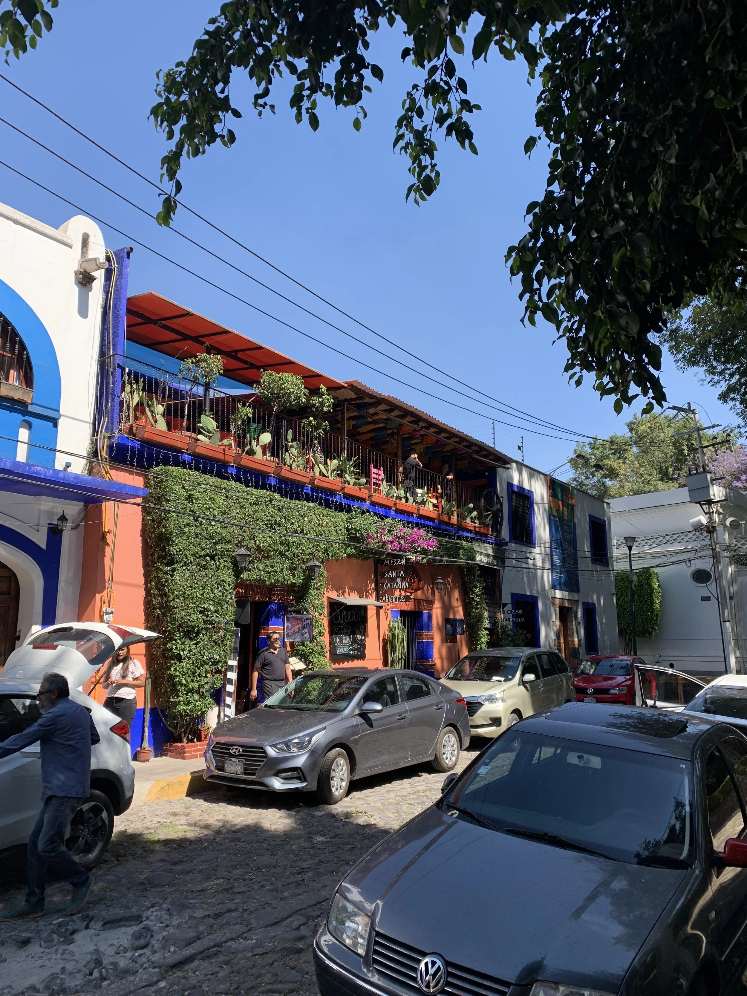 IMG_3028.jpeg