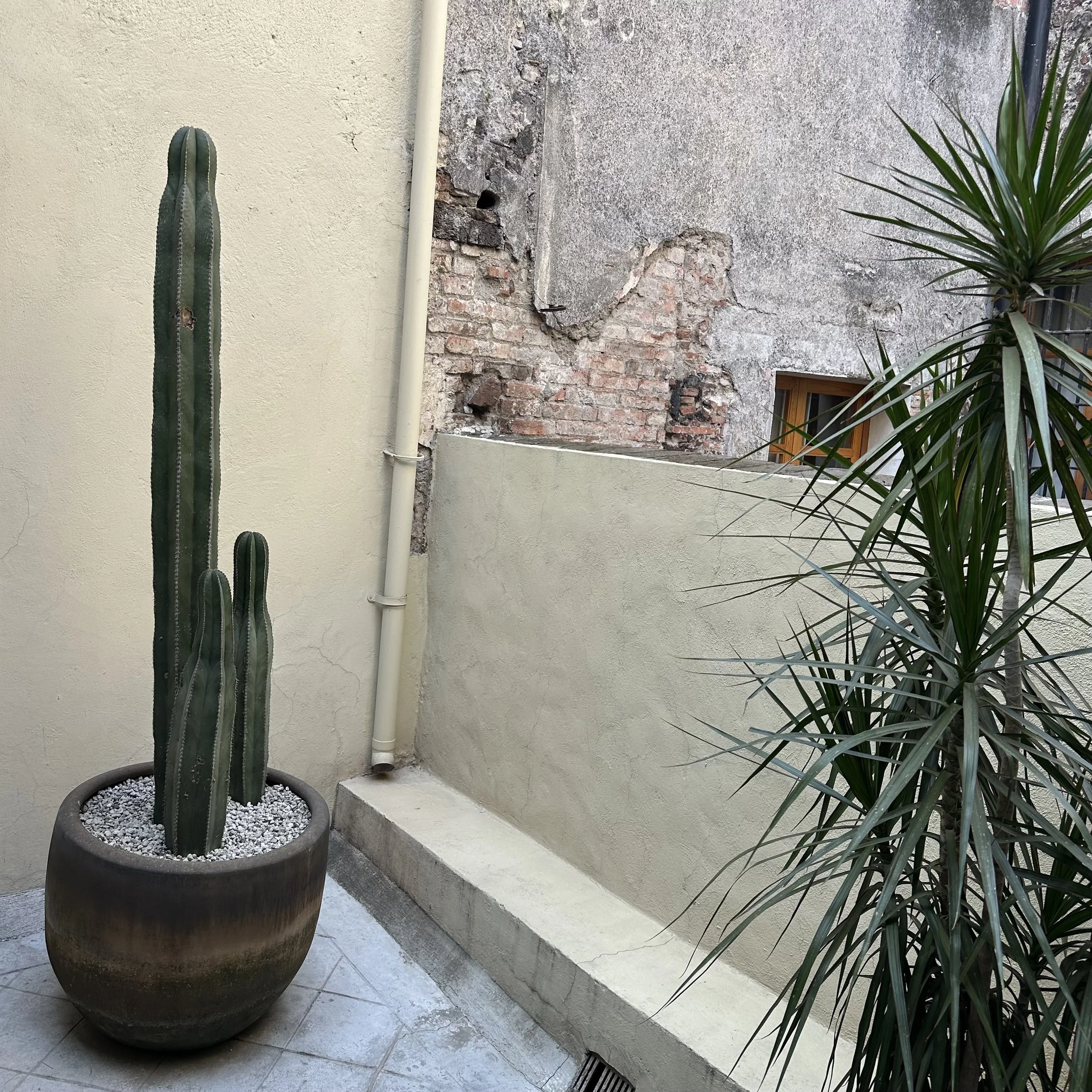 La Condesa - Green Spaces and Effortless Sophistication