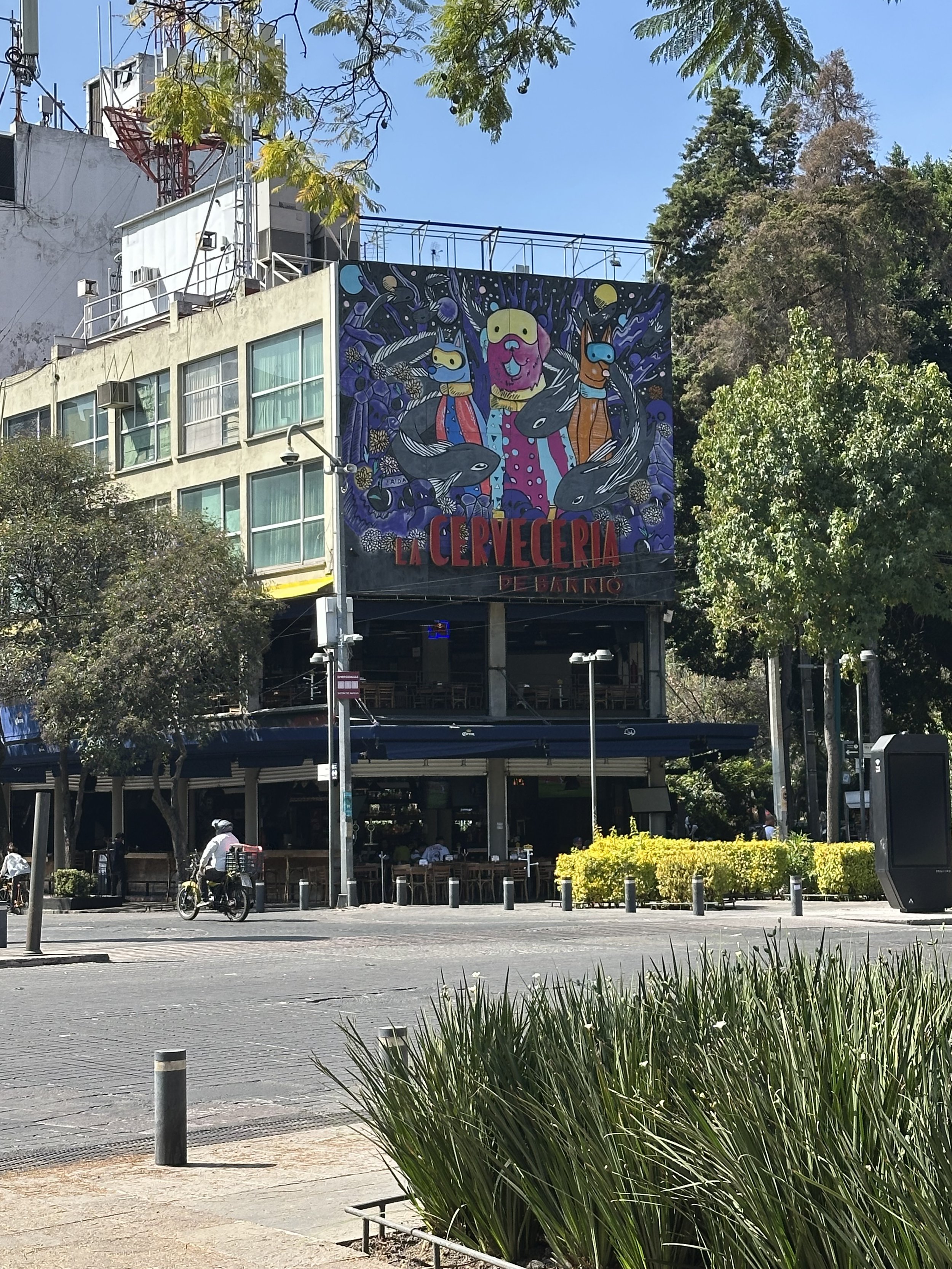 IMG_9566.jpeg