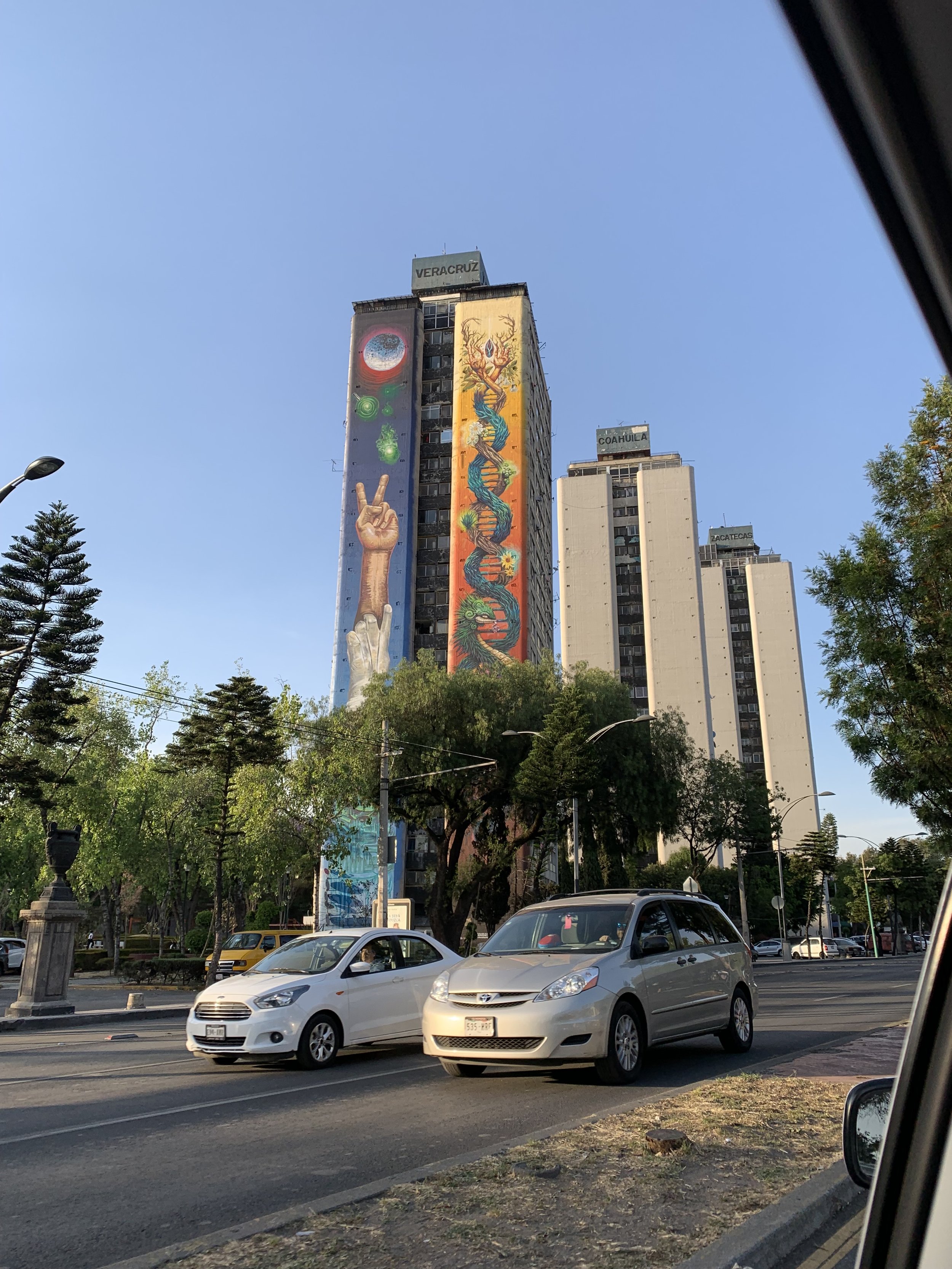 IMG_2831.jpeg