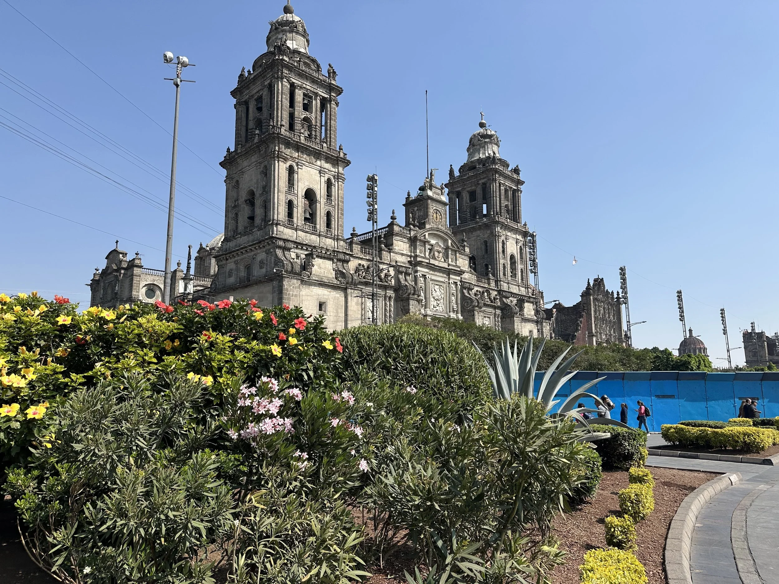 IMG_9950.jpeg