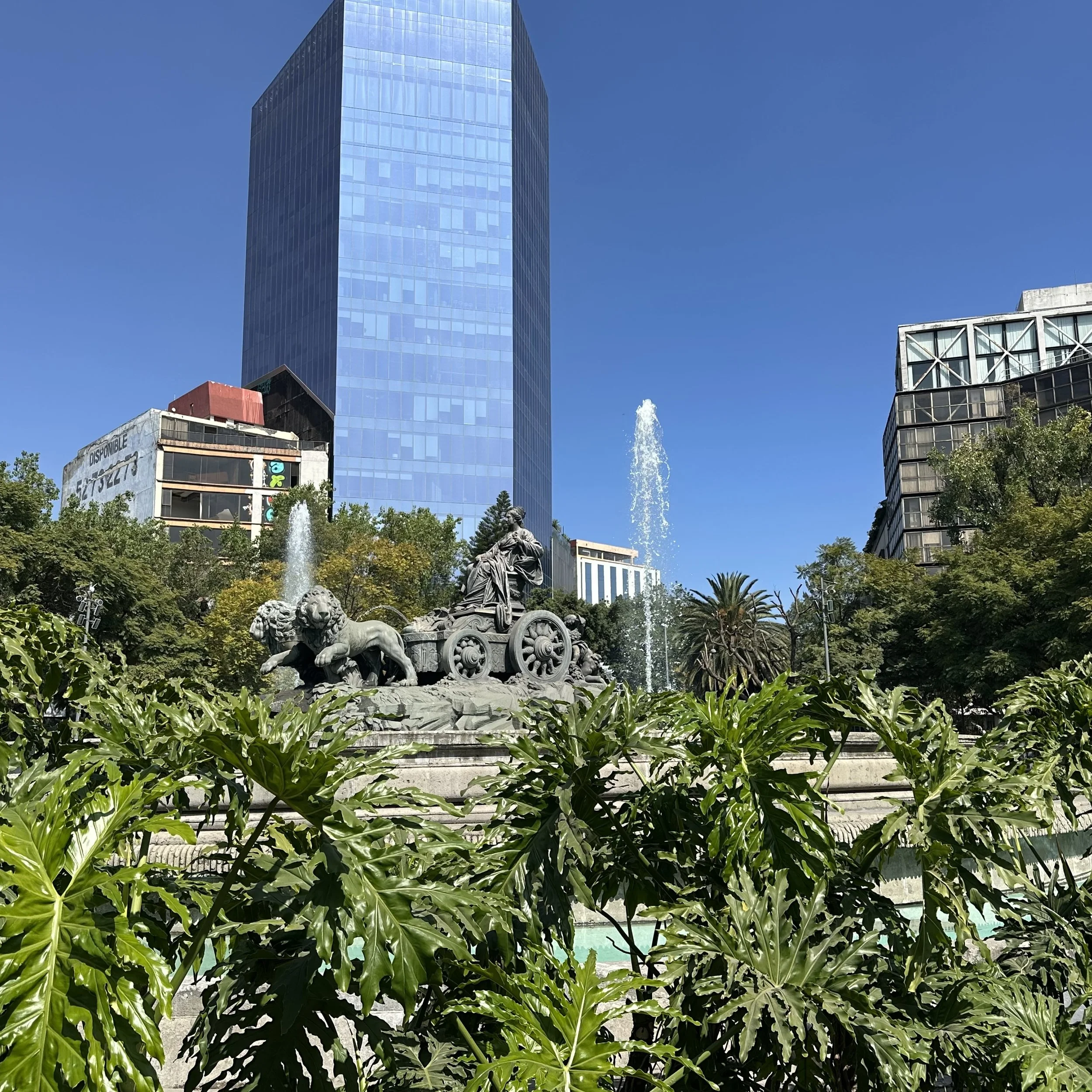 IMG_9563.jpeg