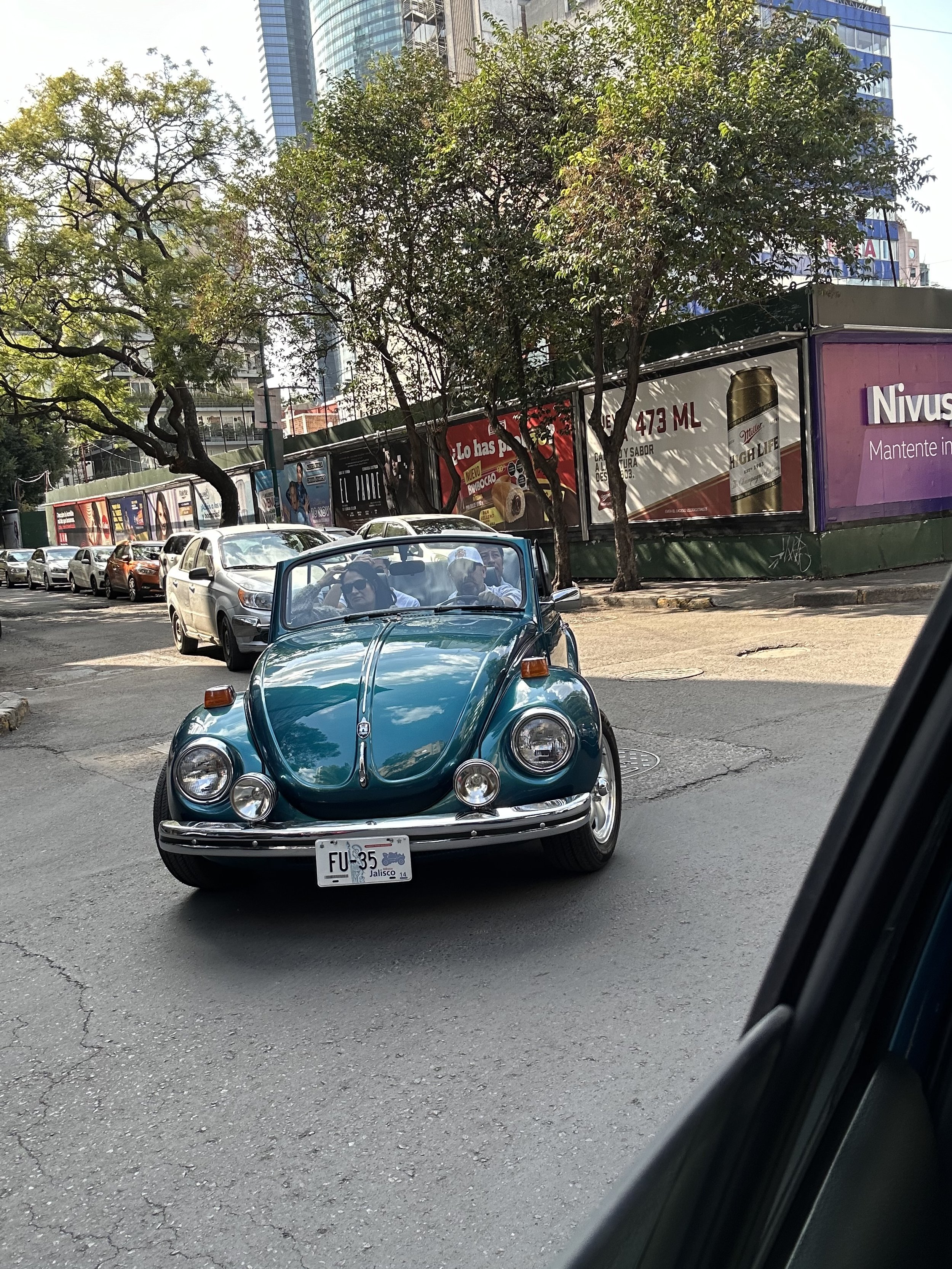 IMG_4455.jpeg