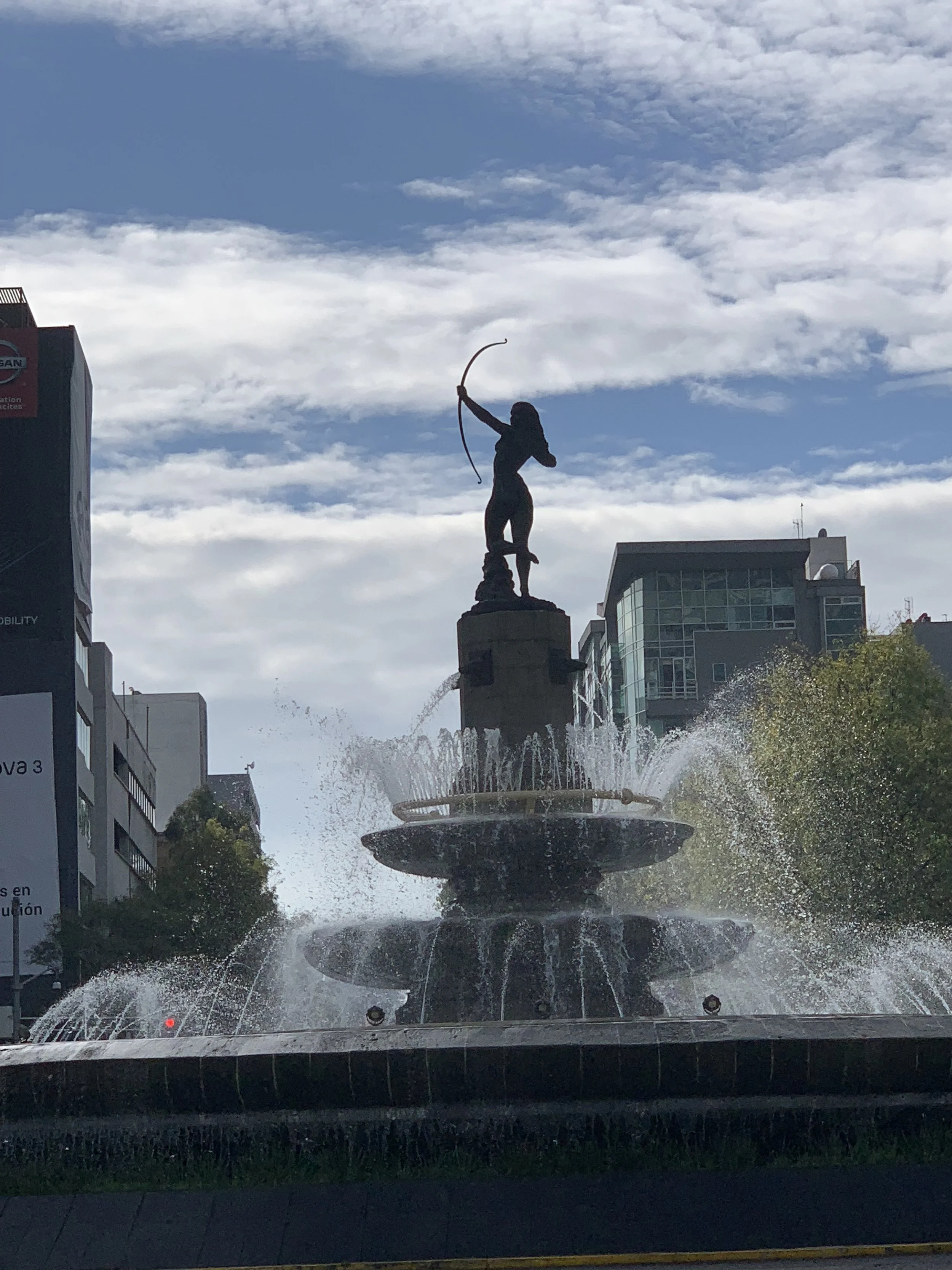 IMG_9434.jpeg
