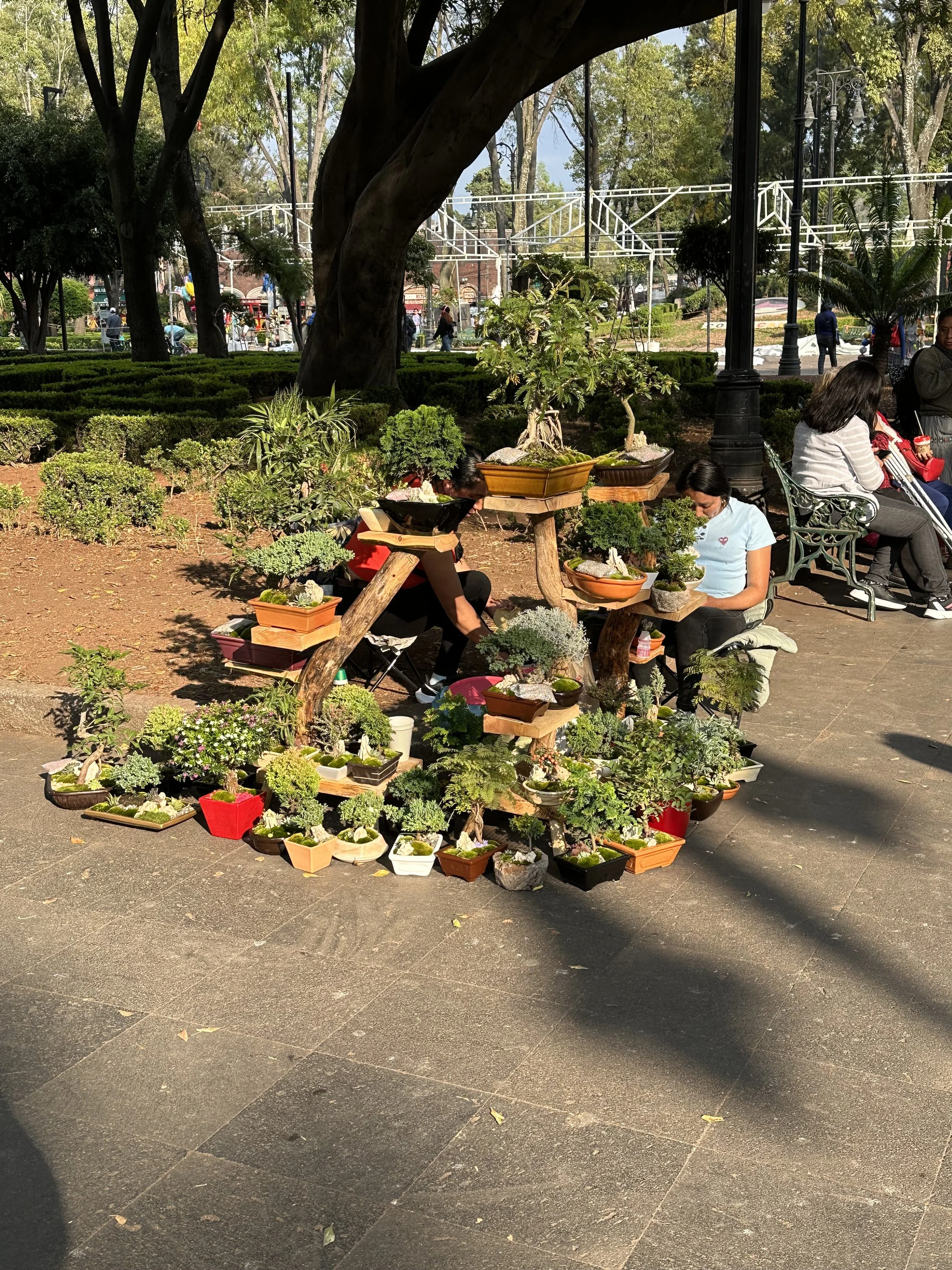 IMG_4164.jpeg