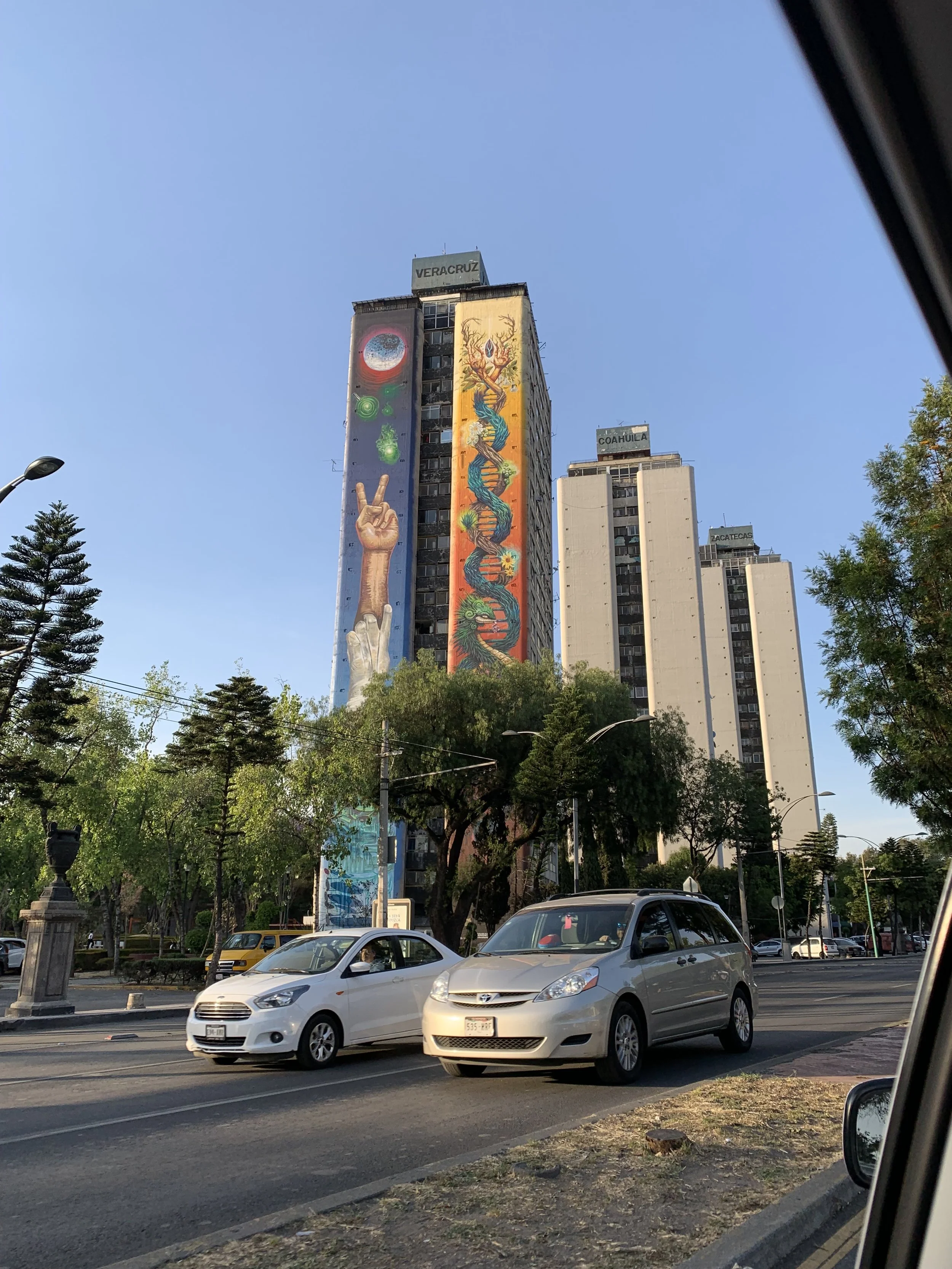 IMG_2831.jpeg