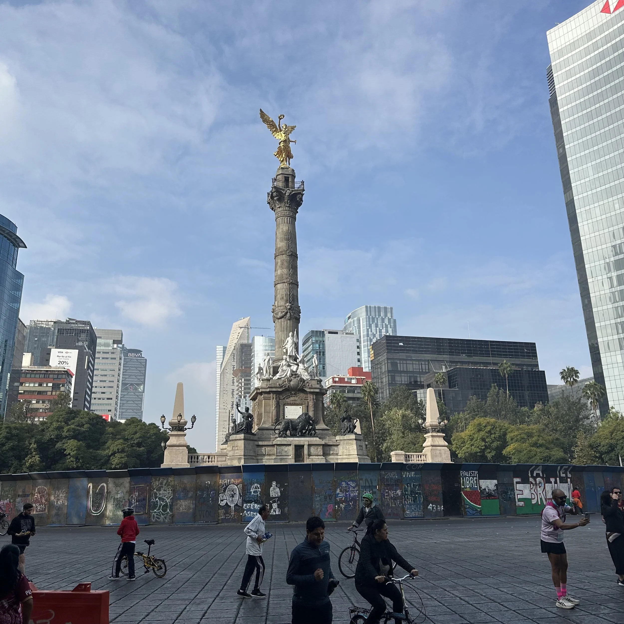 IMG_9500.jpeg