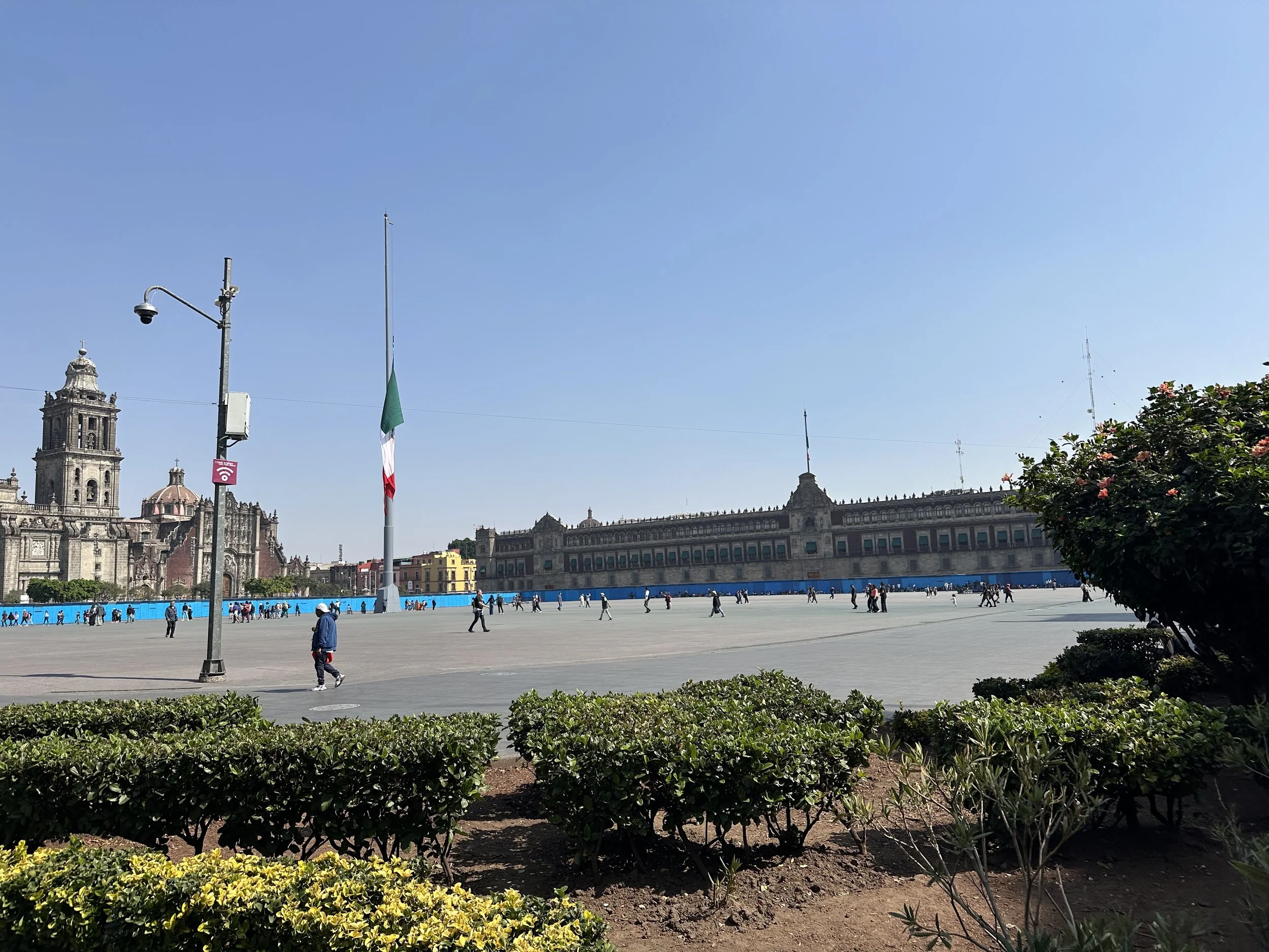 IMG_9939.jpeg