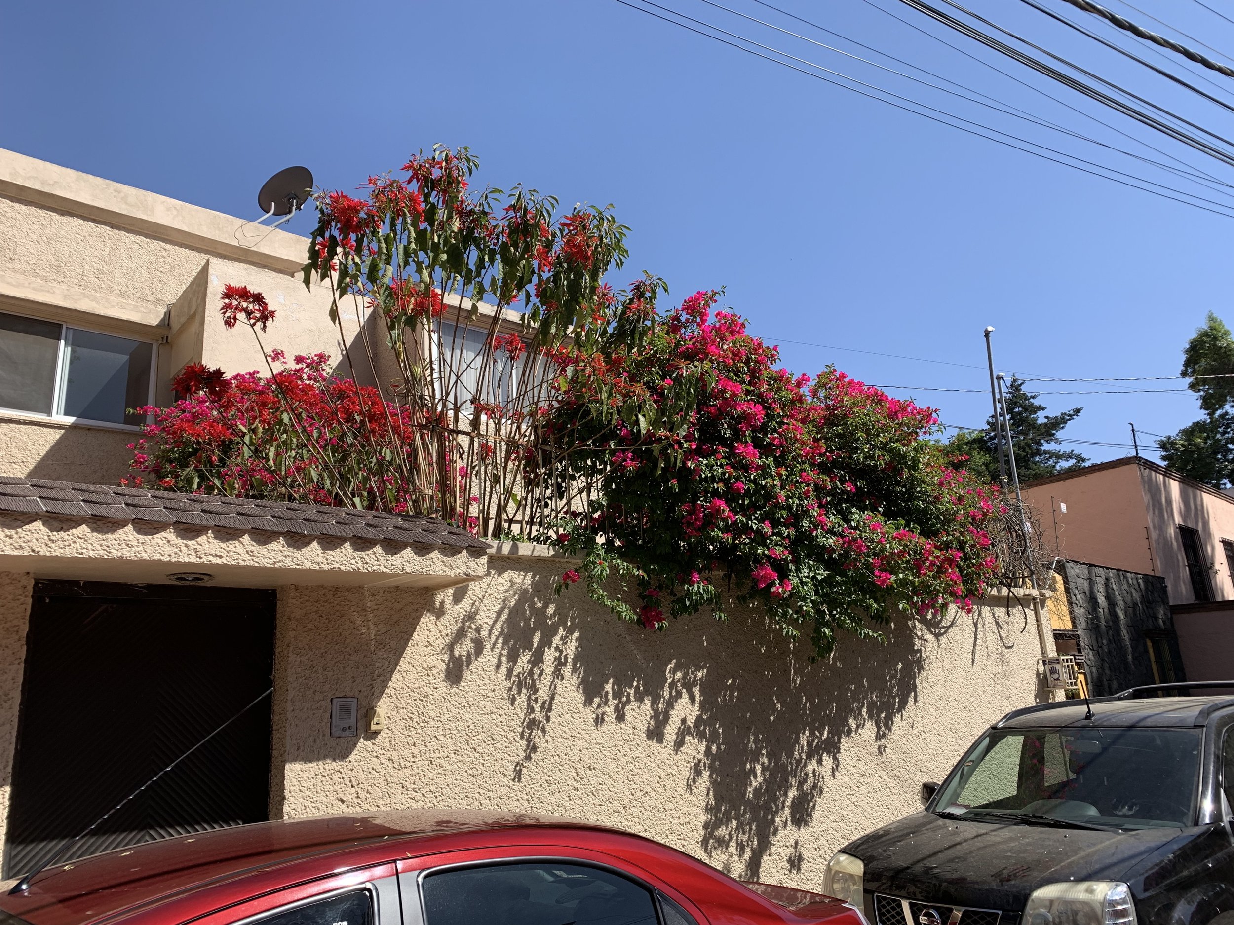 IMG_2476.jpeg
