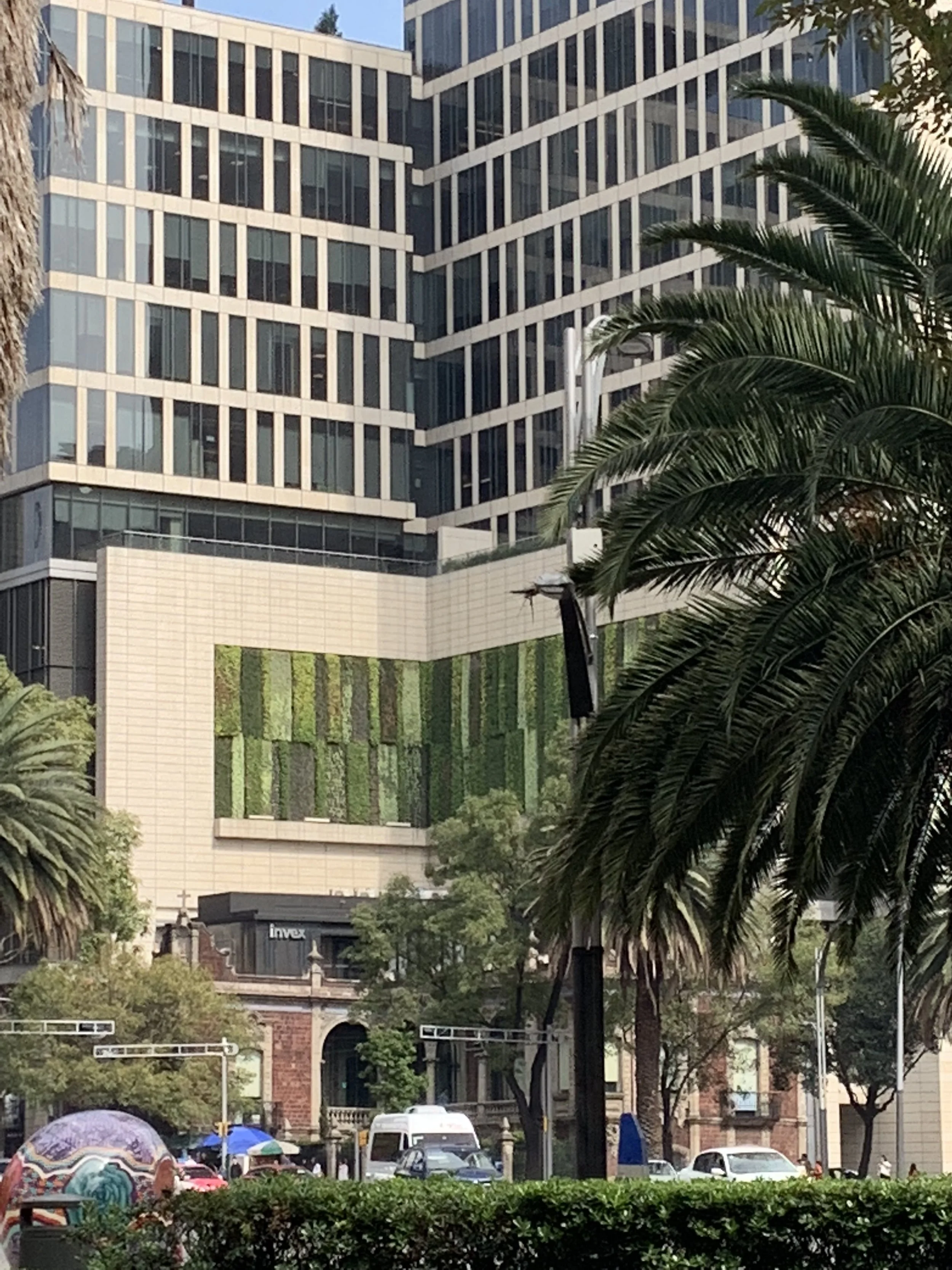 IMG_8907.jpeg