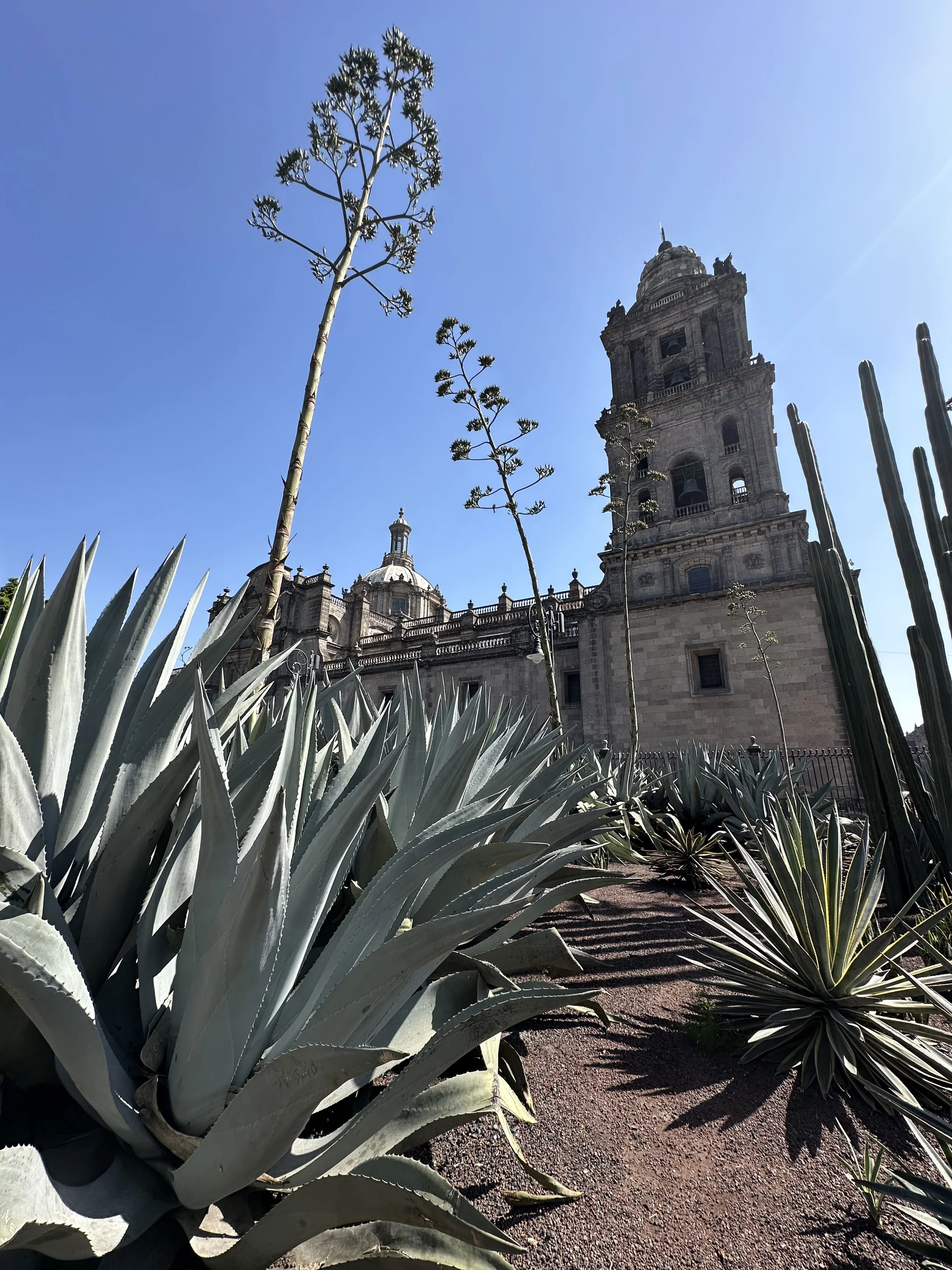 IMG_0640.jpeg