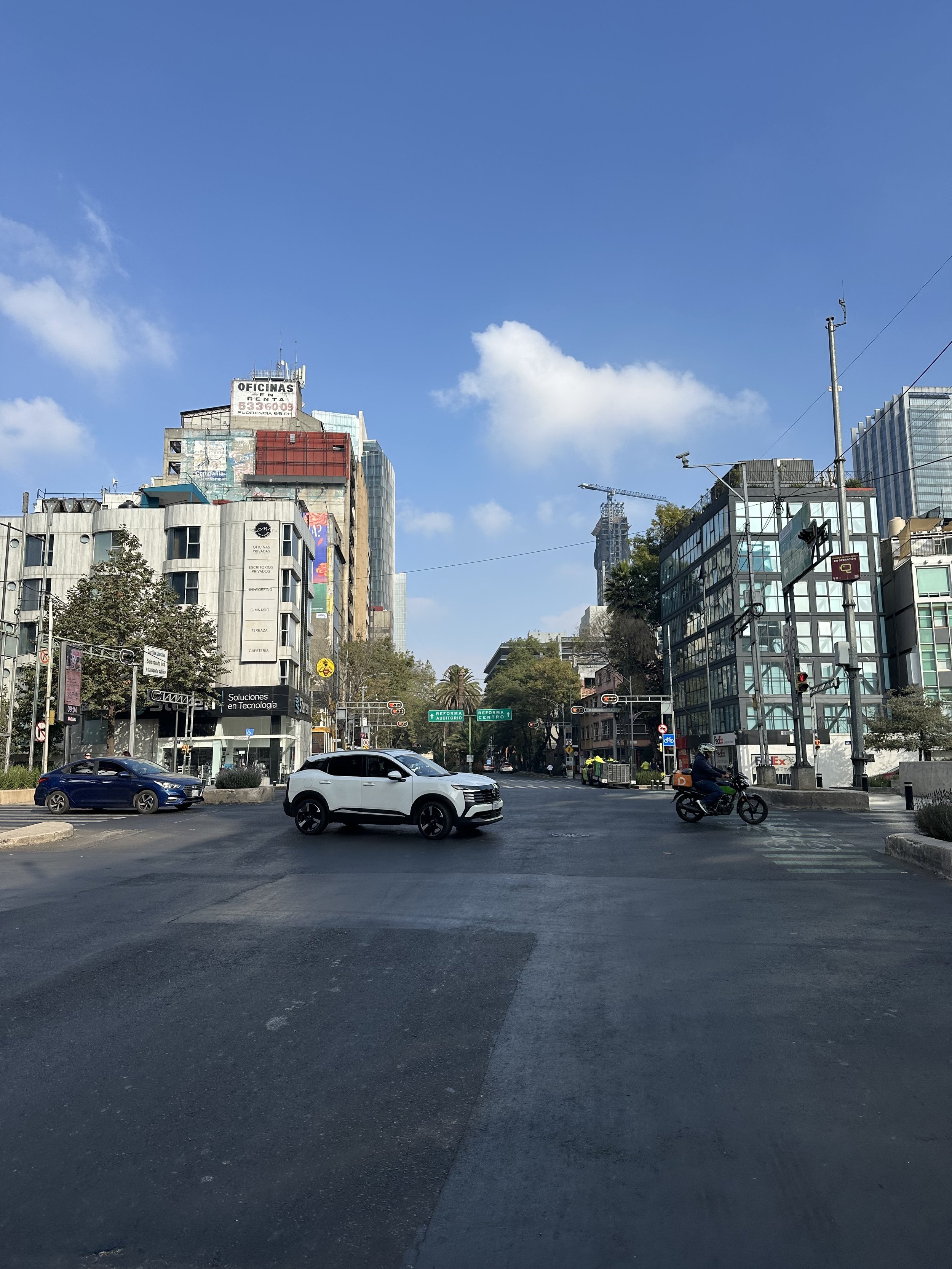 IMG_9510.jpeg