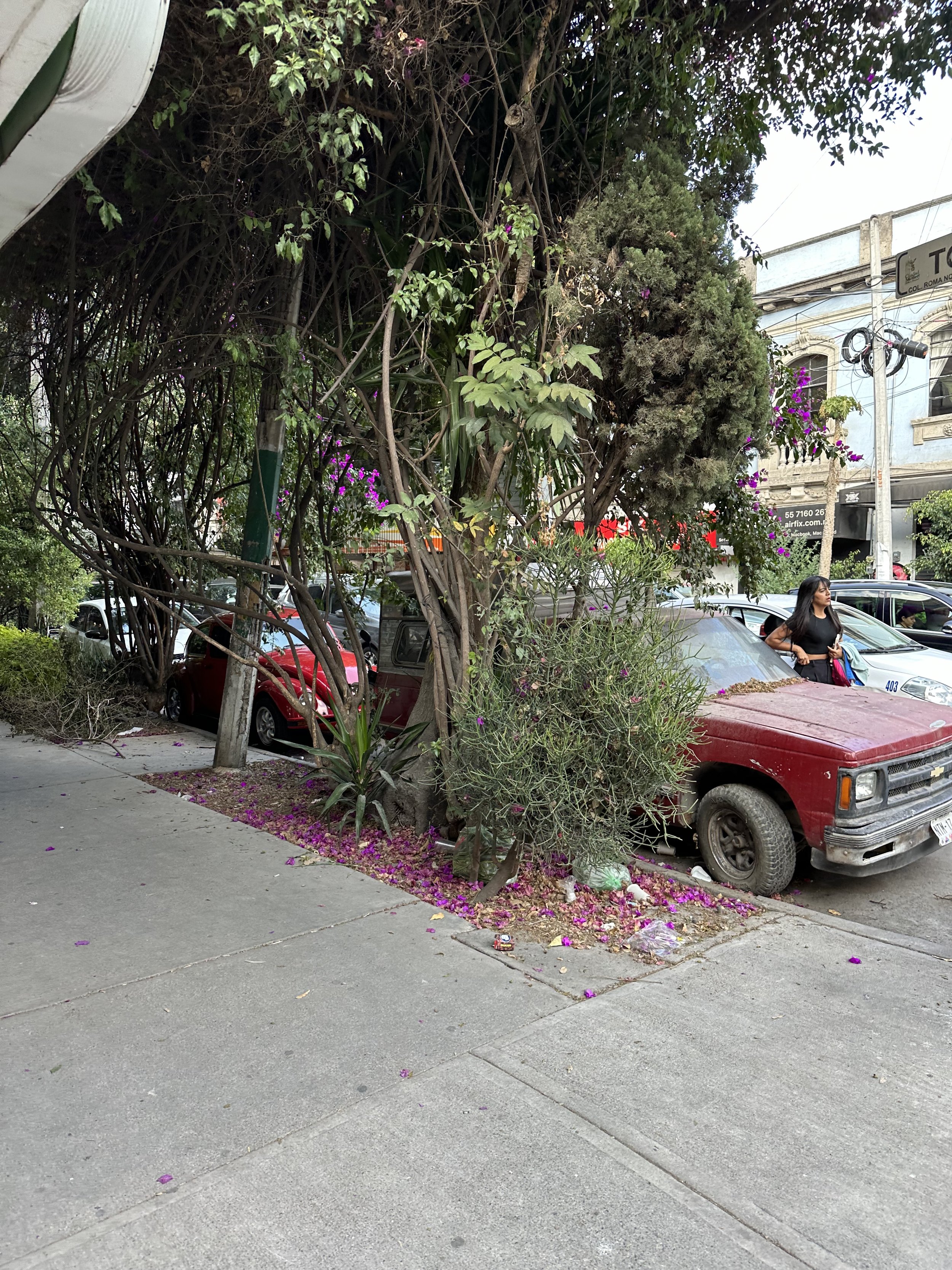 IMG_4459.jpeg