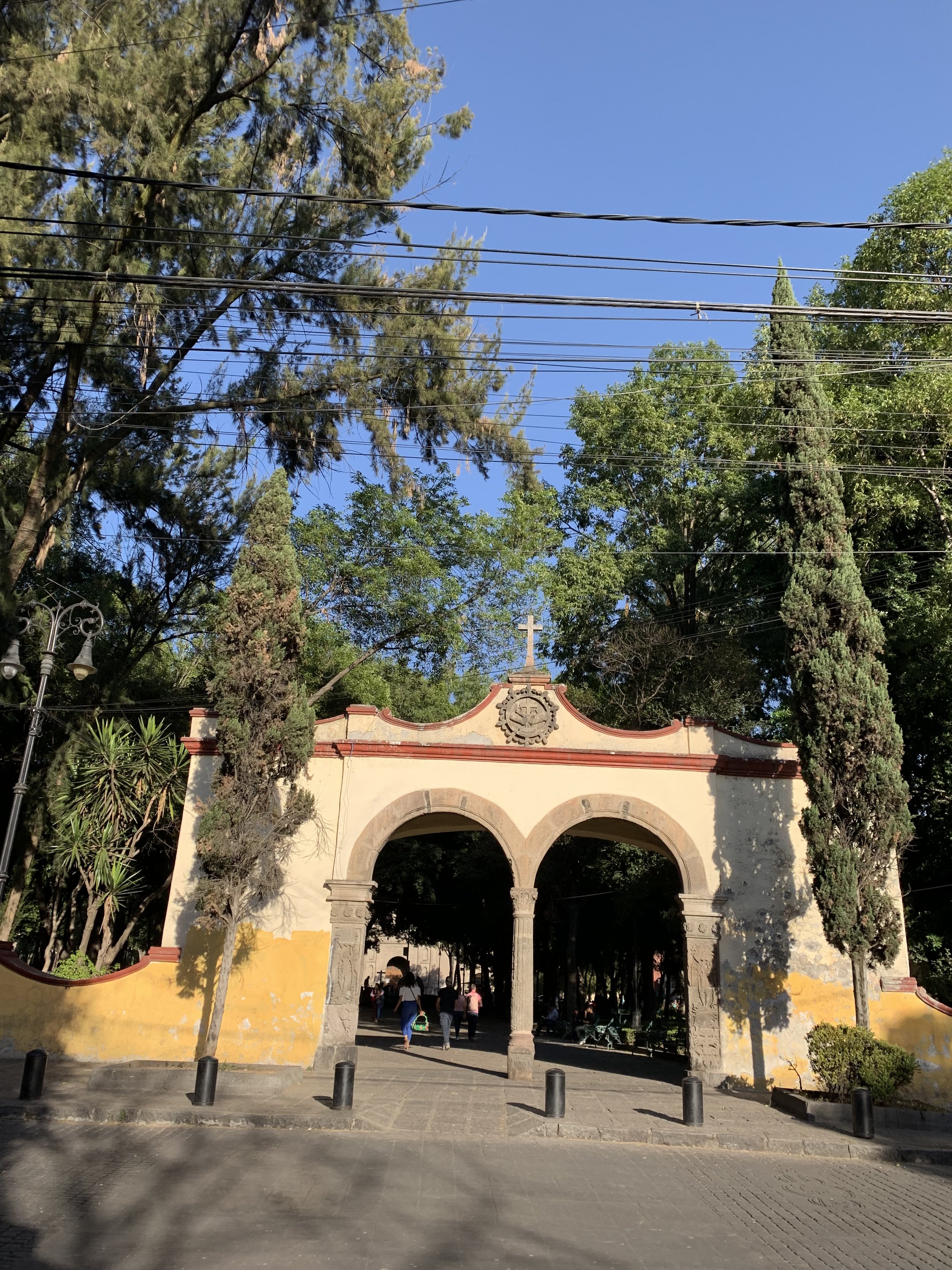 IMG_2500.jpeg