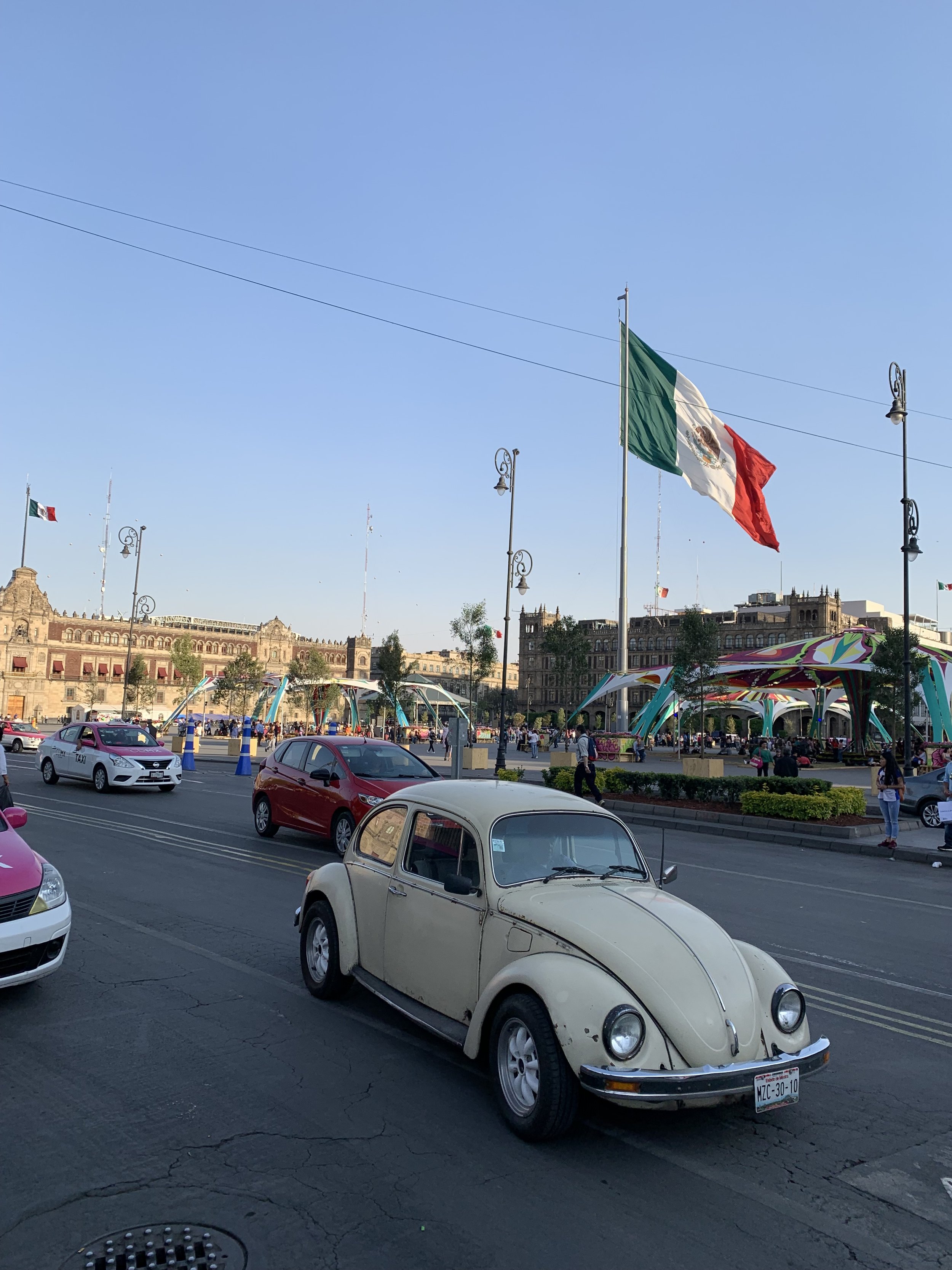 IMG_2828.jpeg