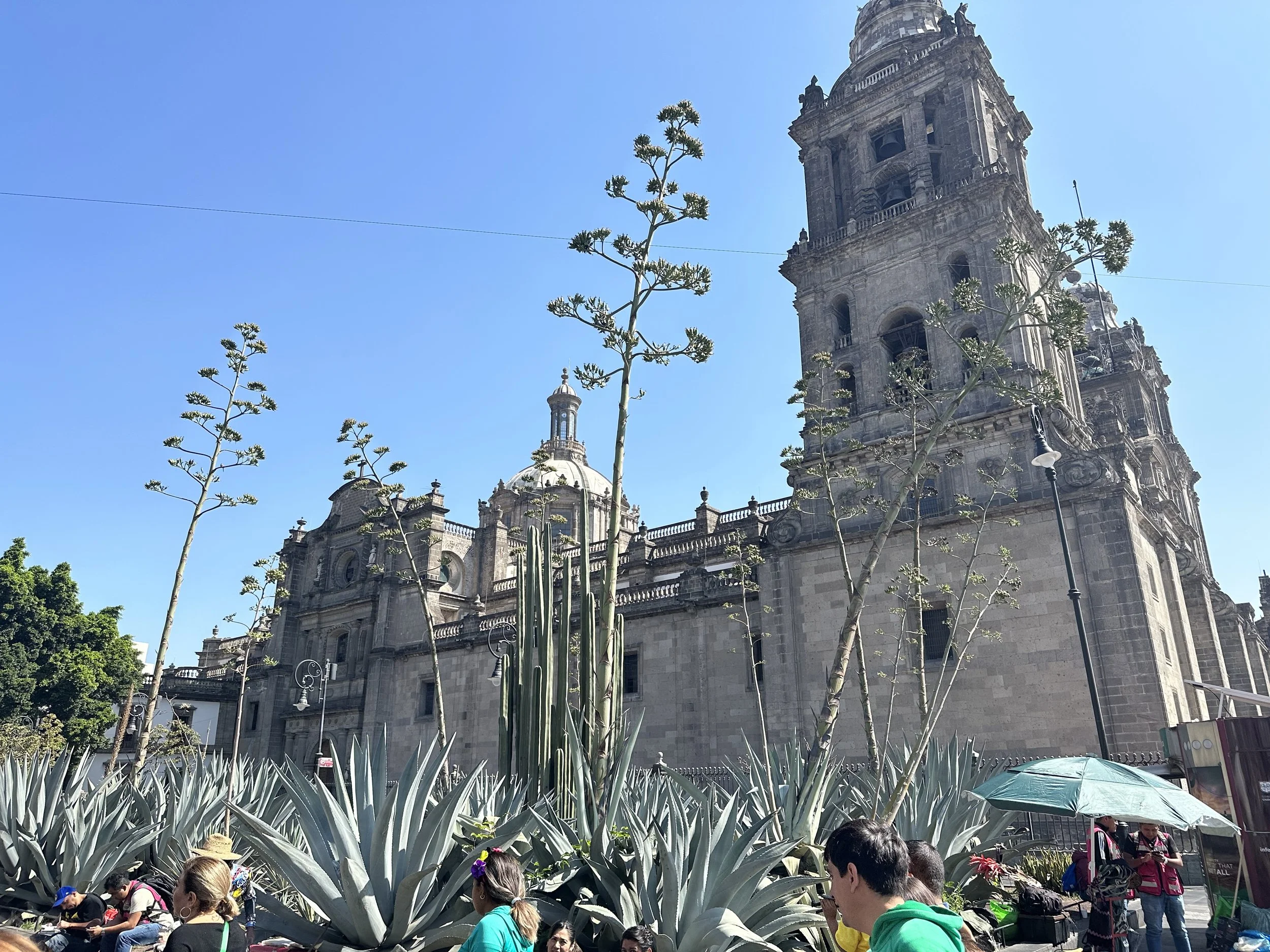 IMG_0635.jpeg