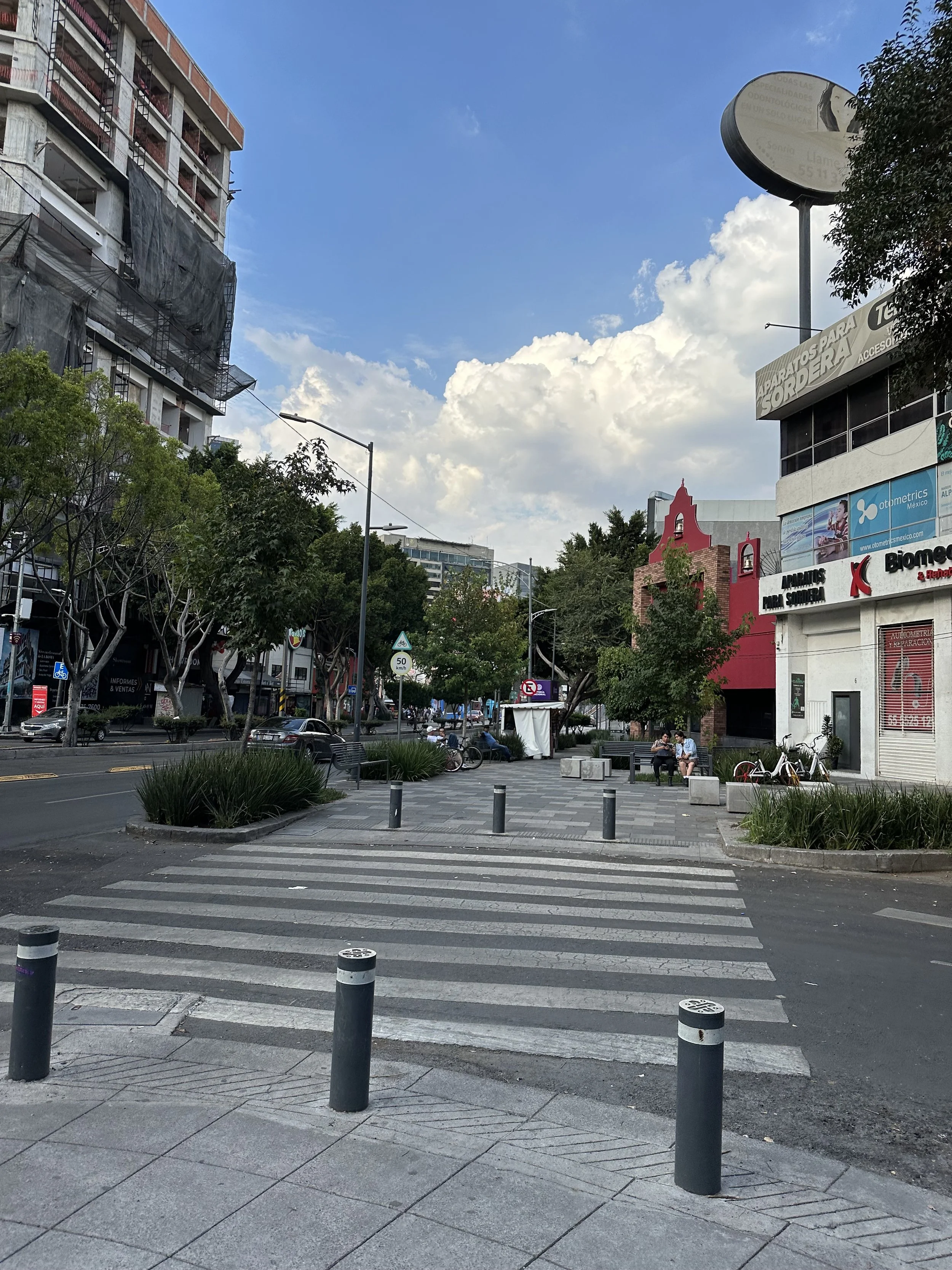 IMG_4501.jpeg