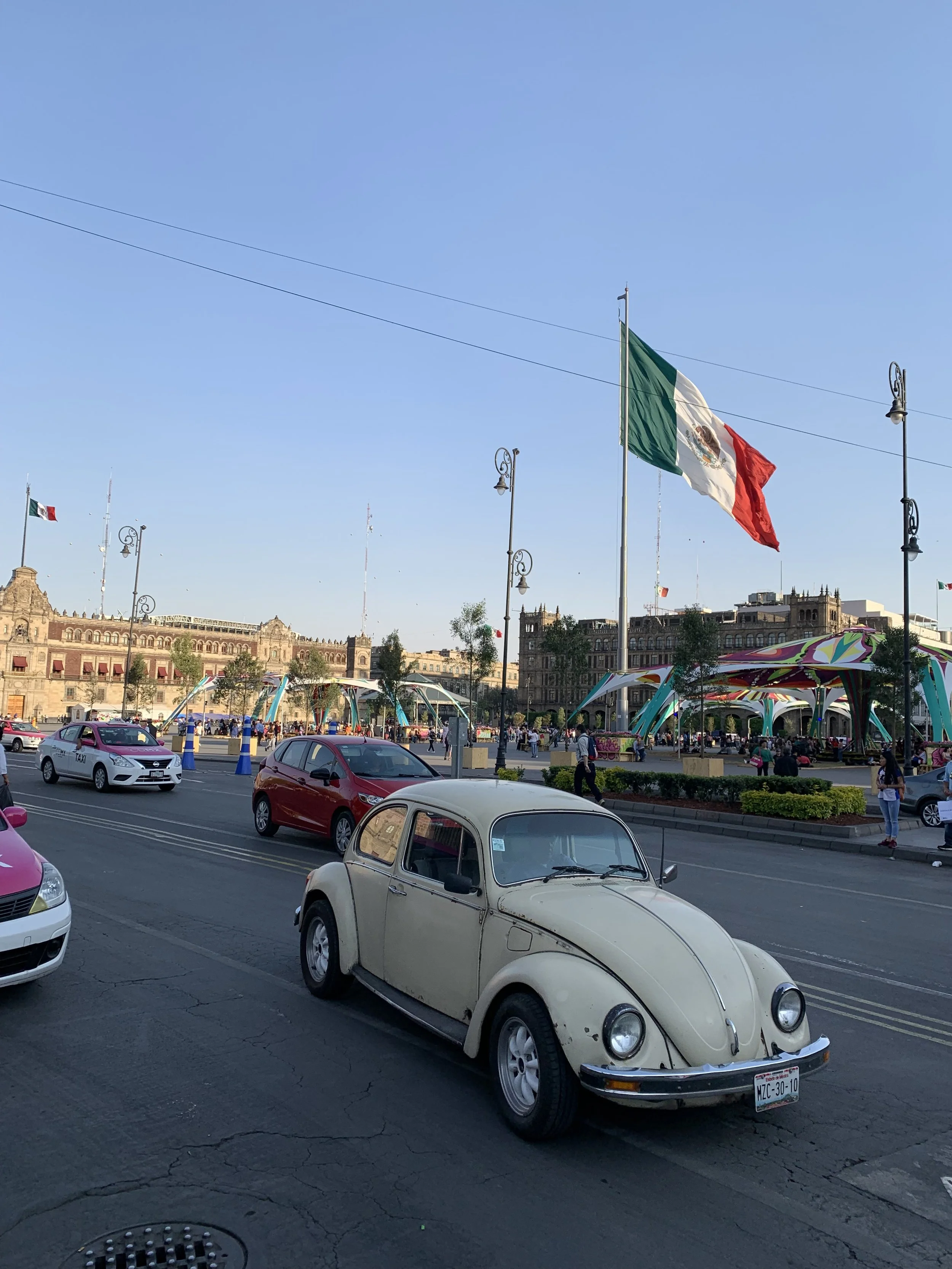 IMG_2828.jpeg