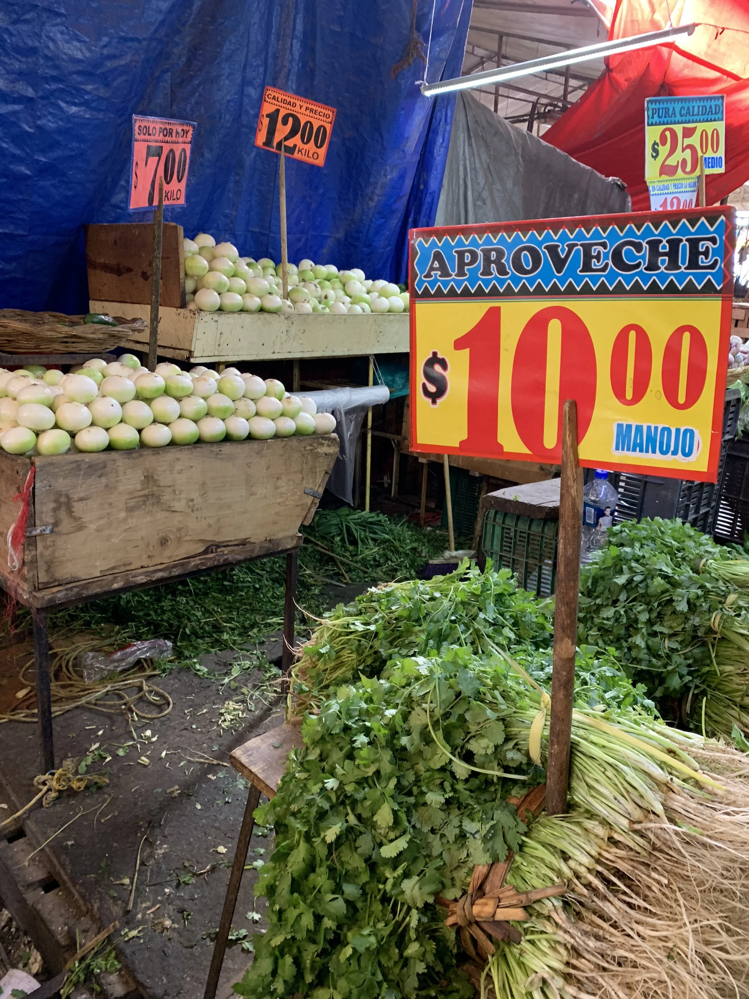 IMG_9502.jpeg
