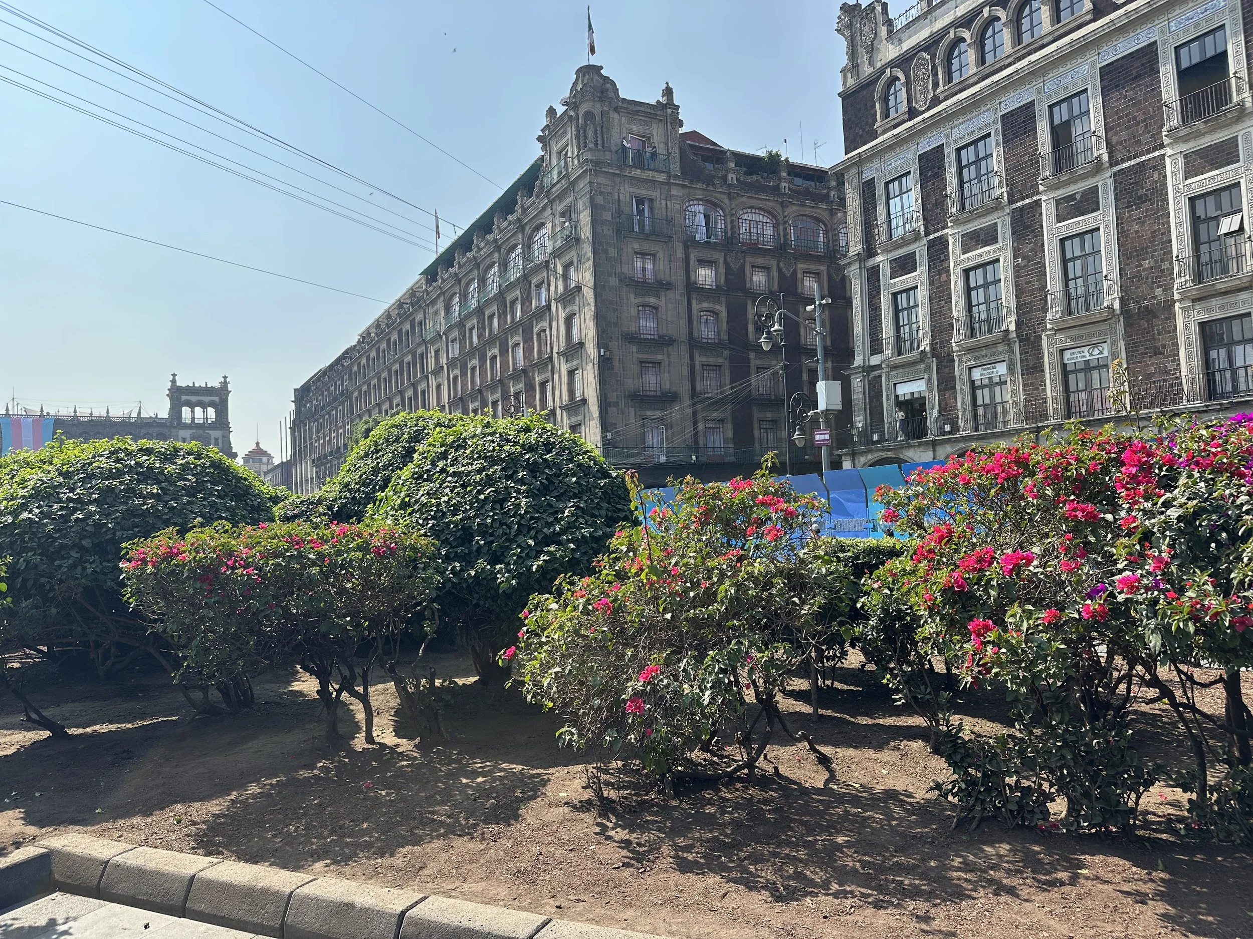 IMG_9953.jpeg