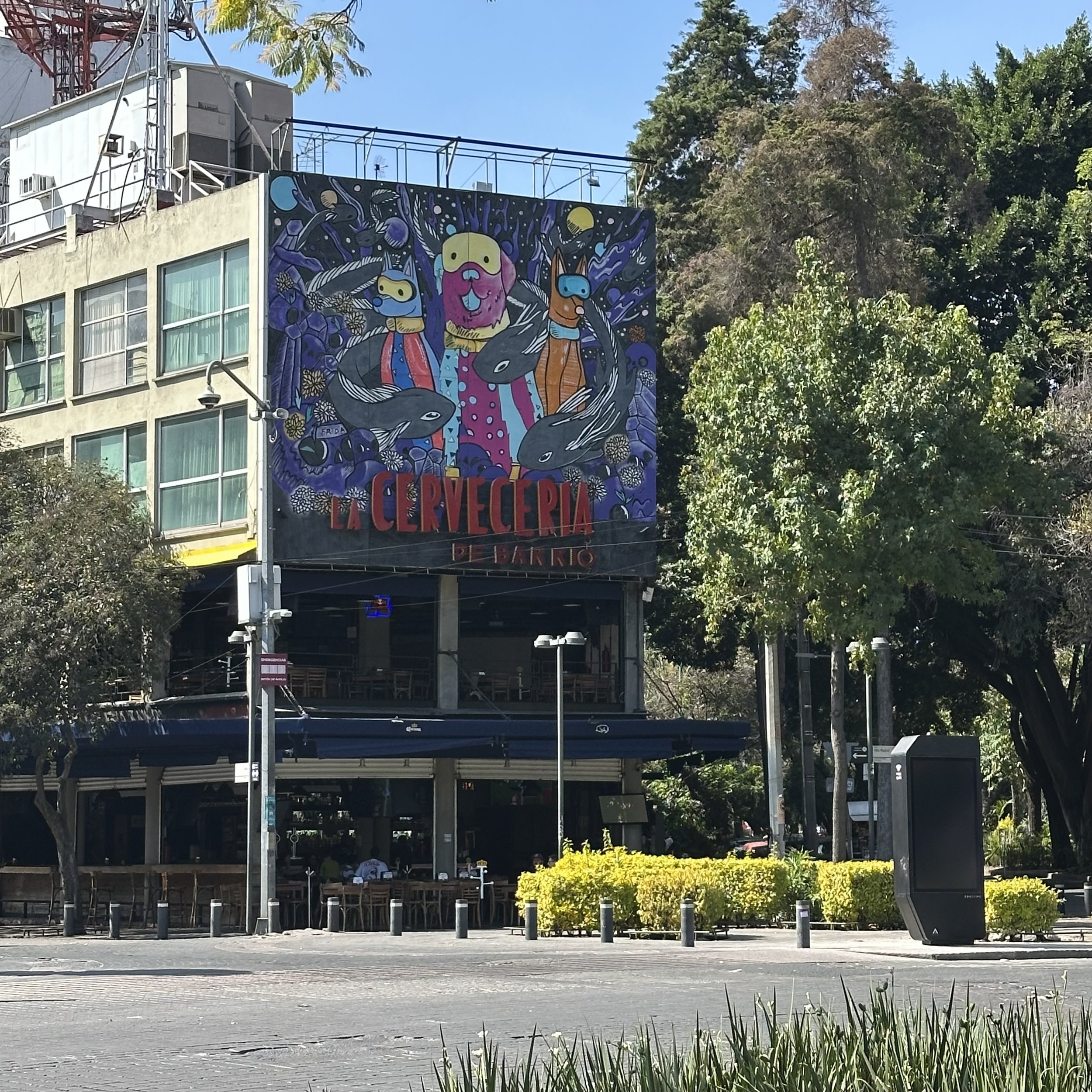 IMG_9567.jpeg