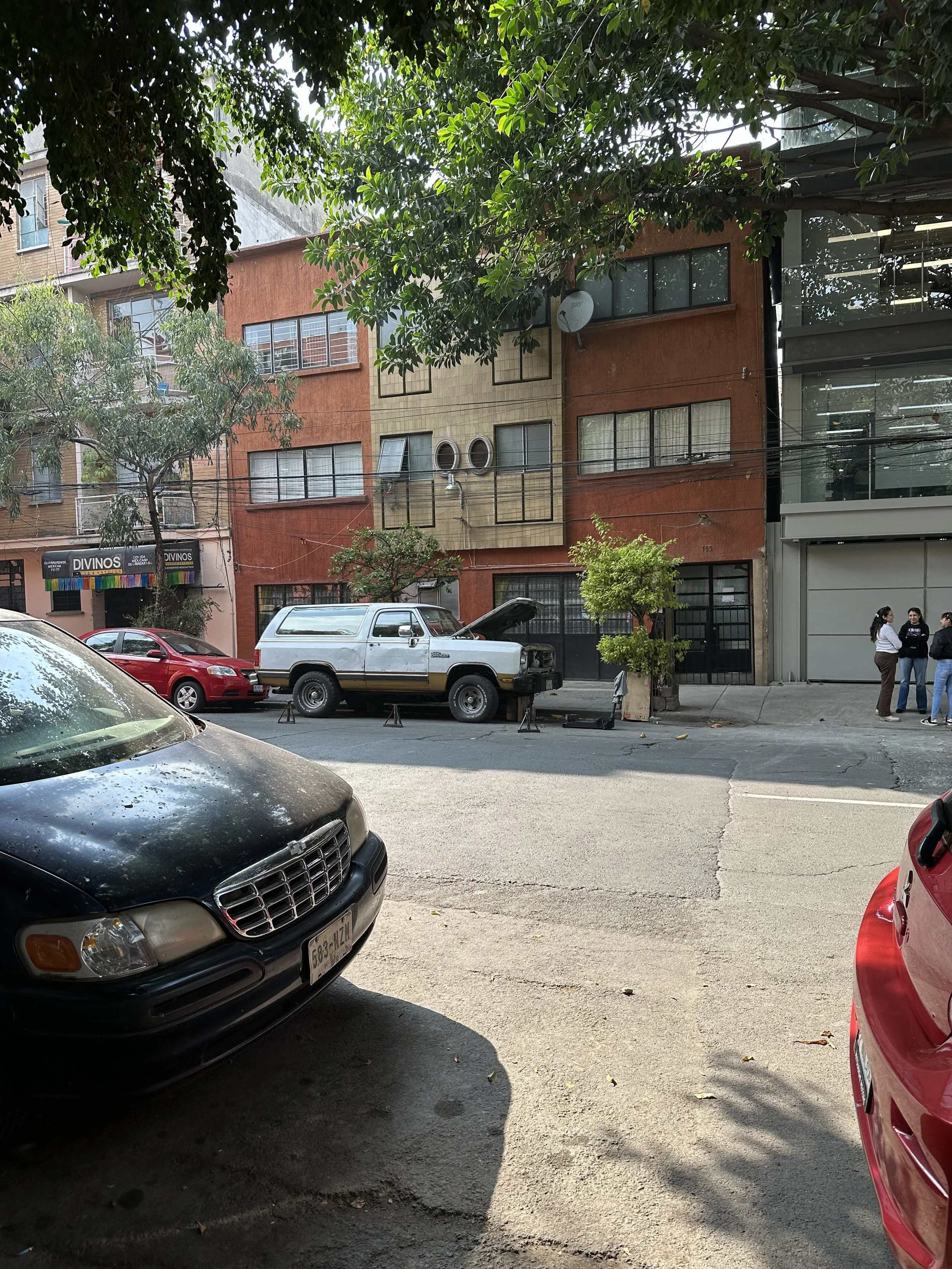 IMG_4644.jpeg