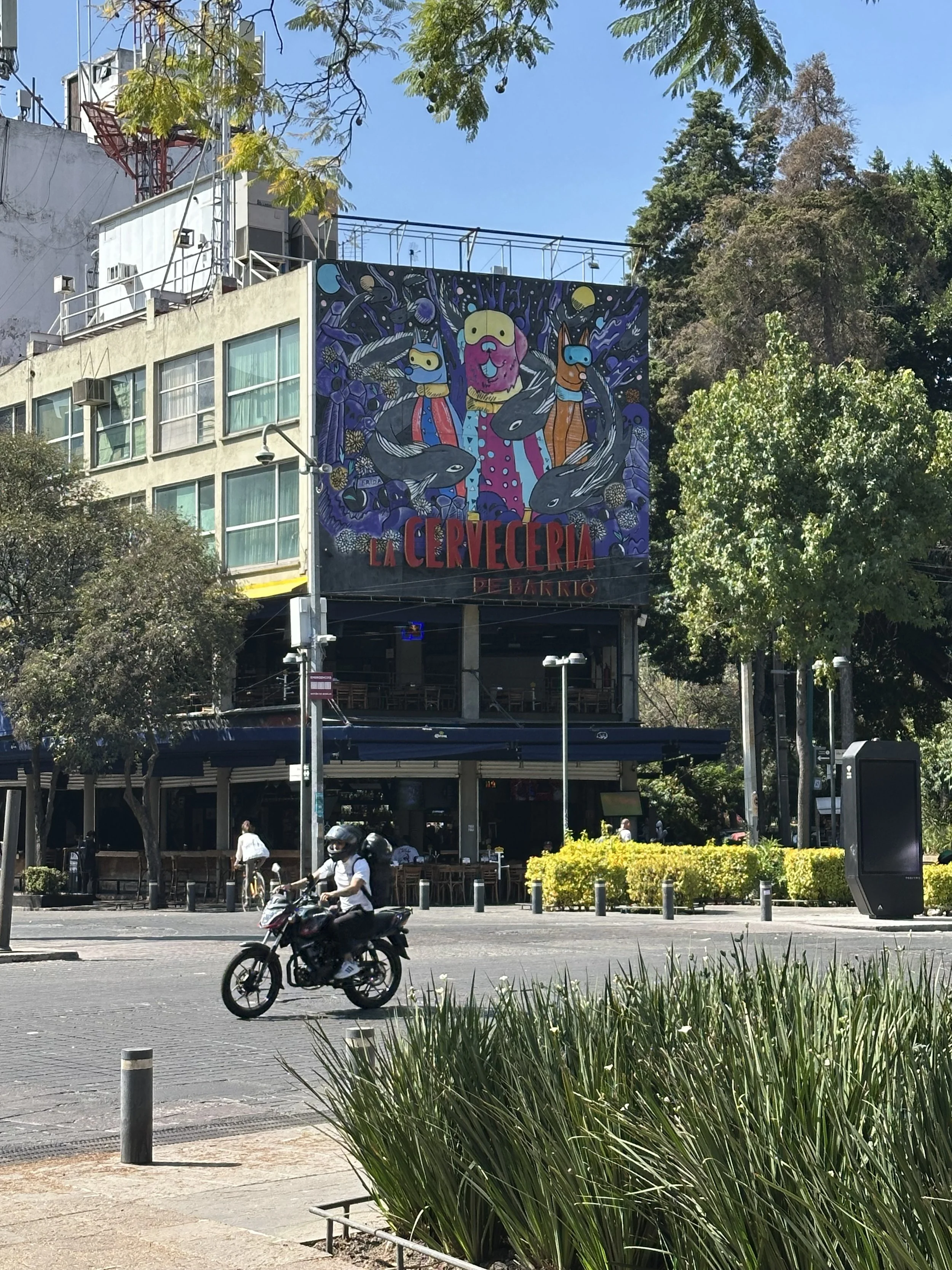IMG_9565.jpeg