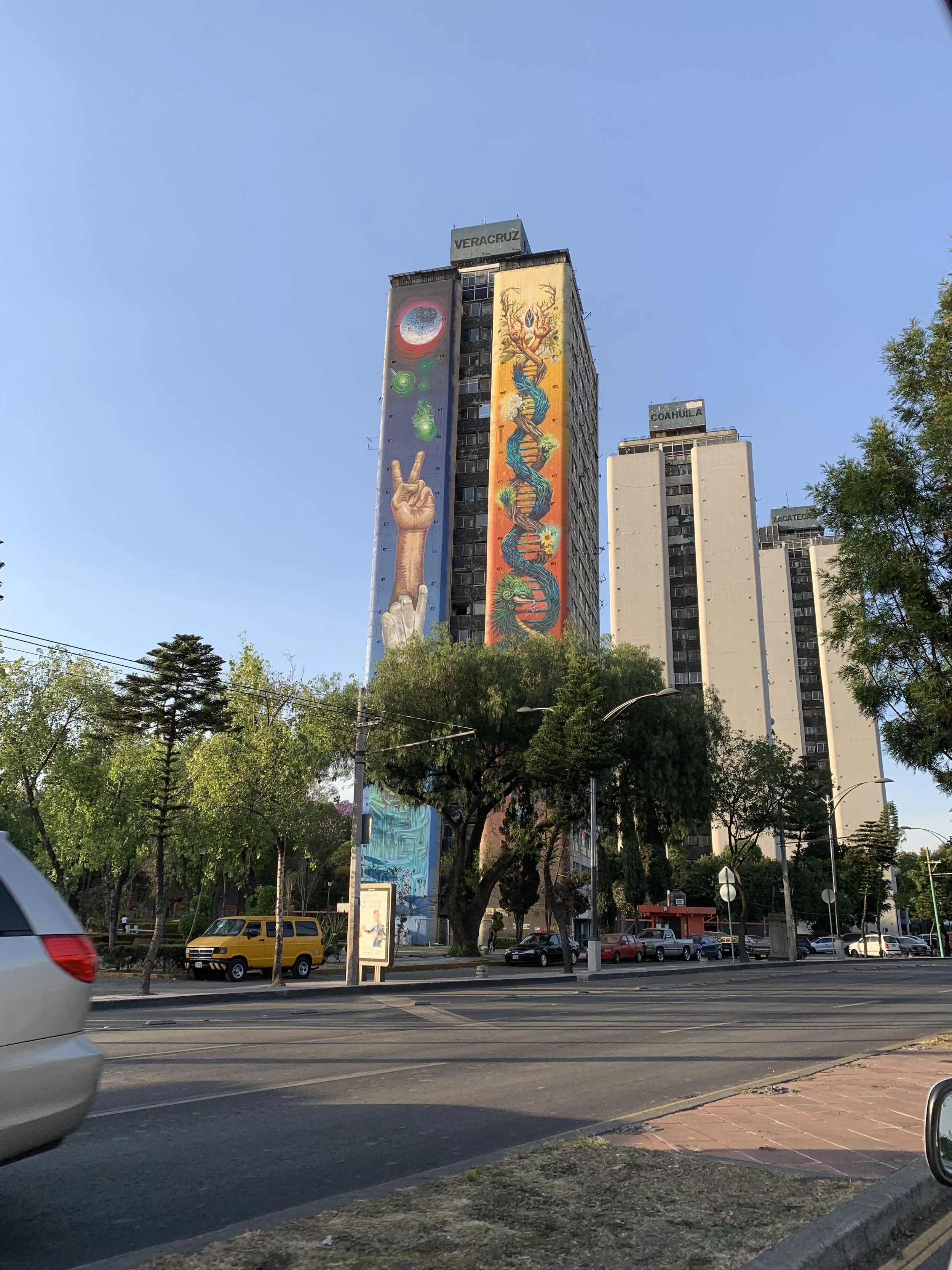 IMG_2832.jpeg