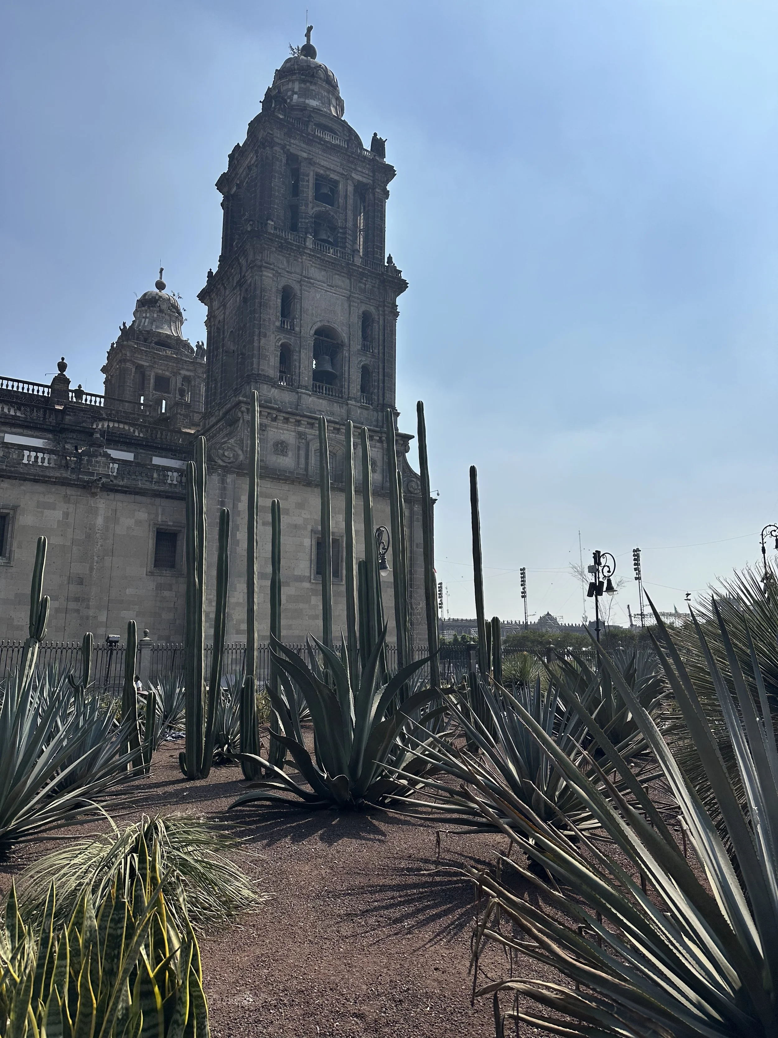 IMG_9331.jpeg