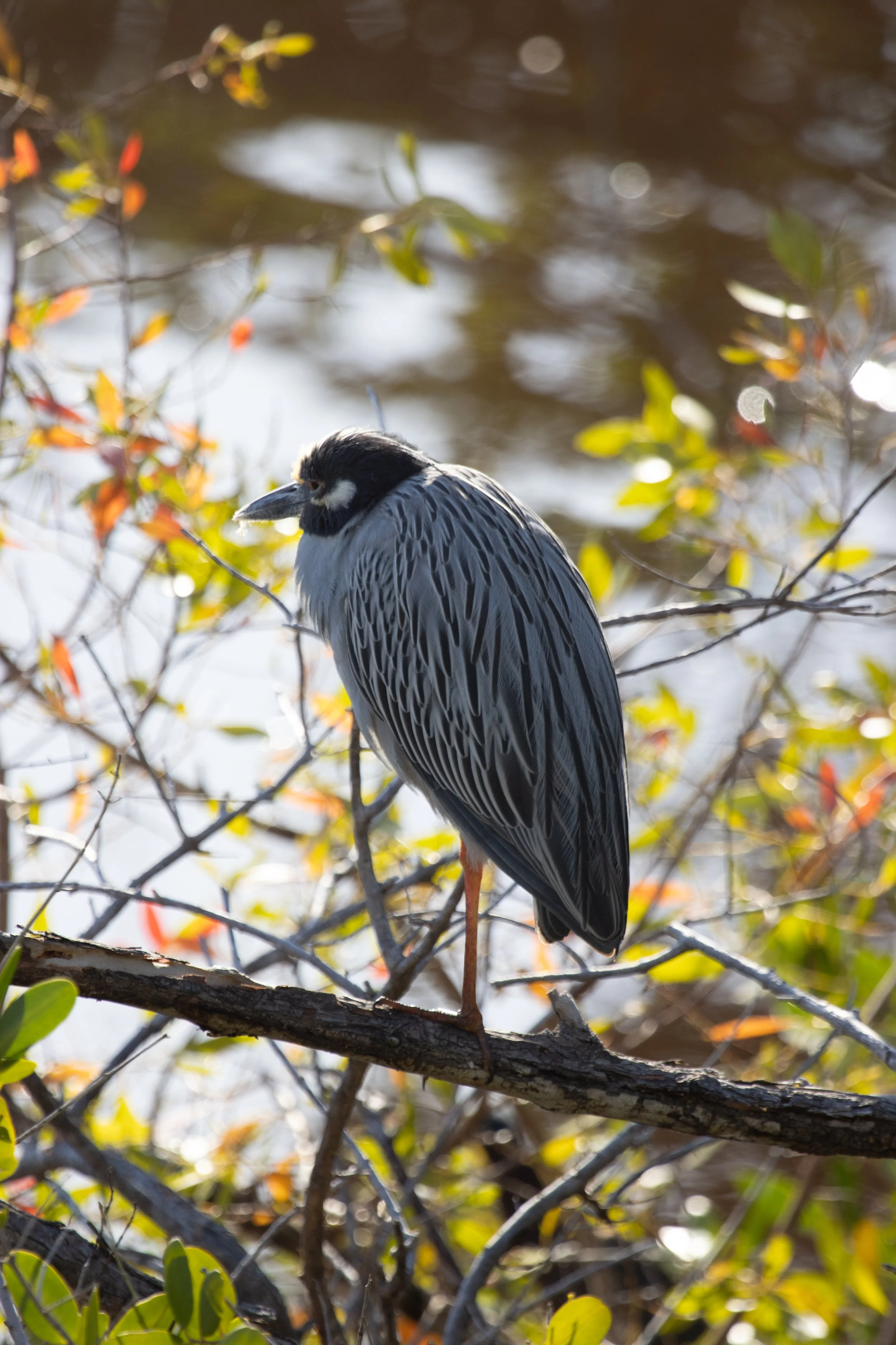 Florida 2024 Original-118.jpg