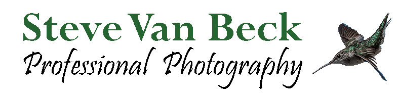 Steve Van Beck Photography